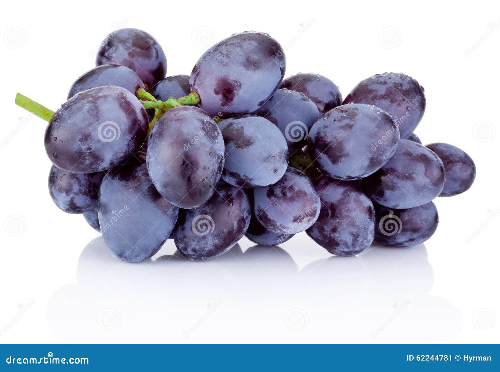 Fresh Blue Grapes Isolated On White Background Stock Image Image of