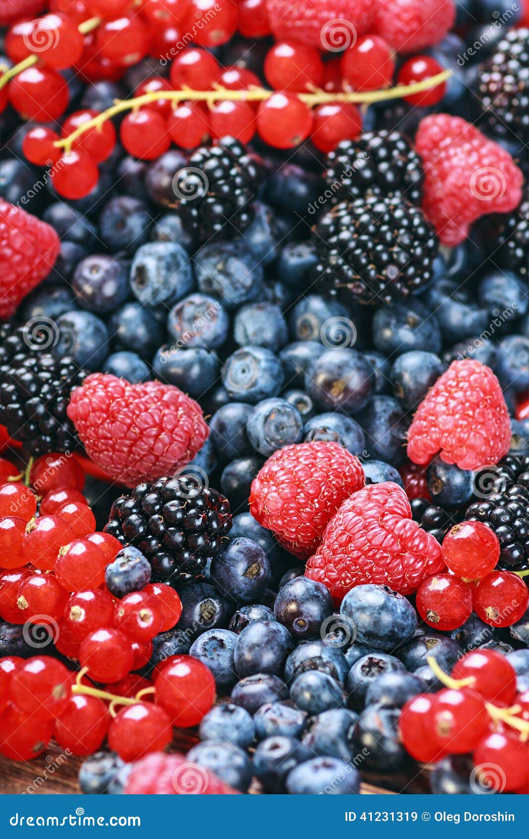 Fresh Blueberries, Currants, Blackberries, Cranberries Stock Image Image of dessert, garden