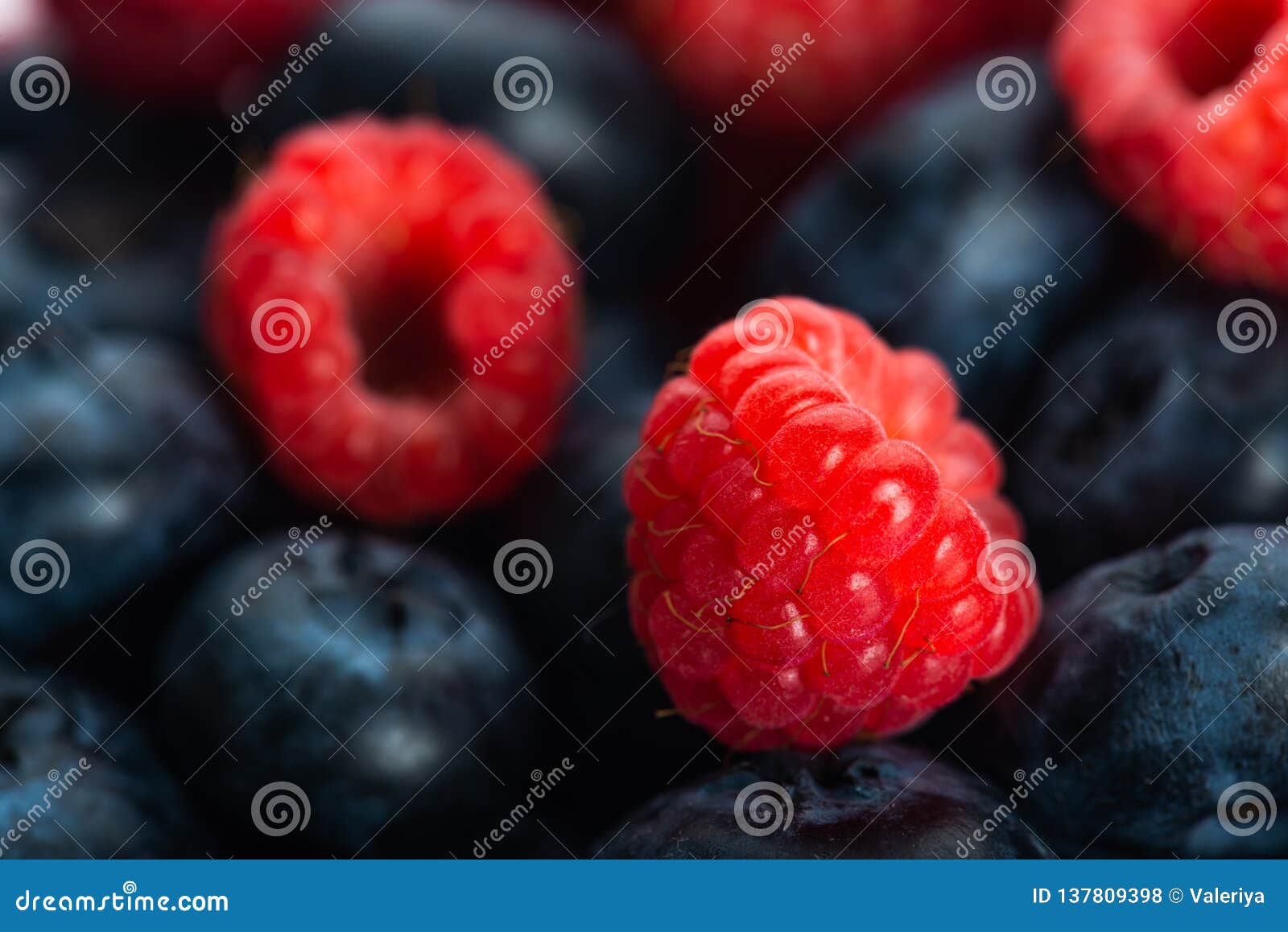 Fresh Blueberries and Raspberries Stock Photo Image of raspberries