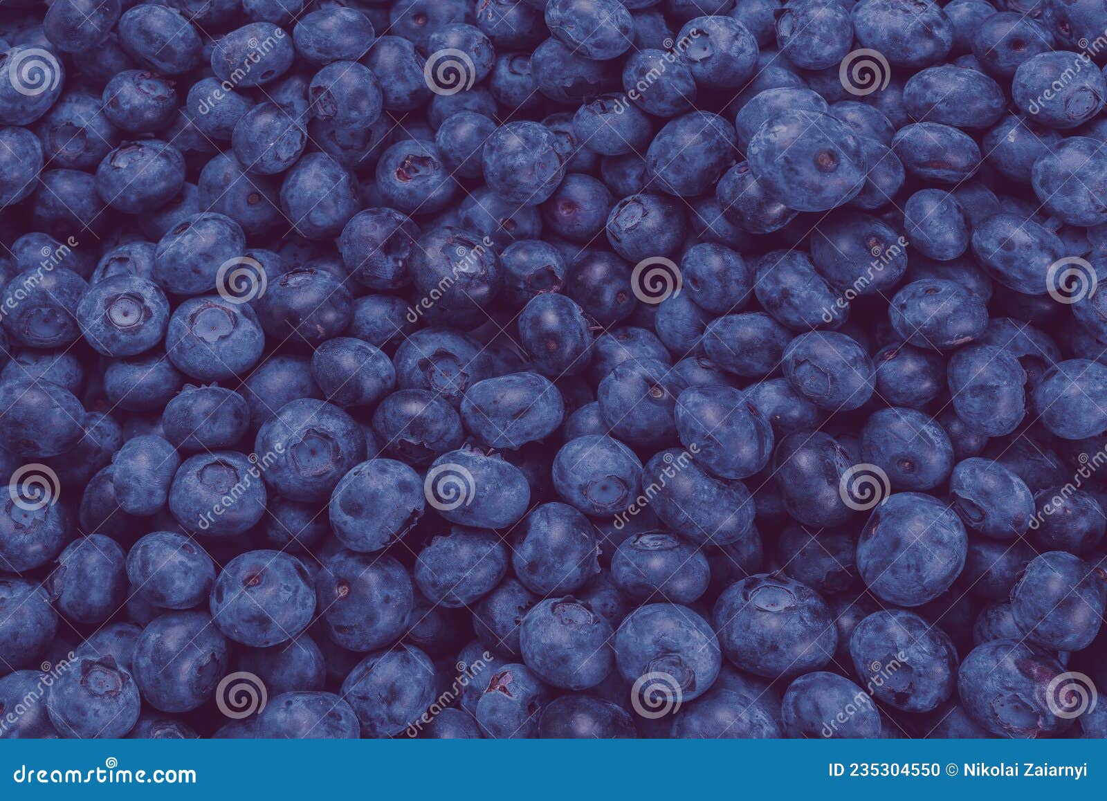 Fresh blueberry background stock photo. Image of blue 235304550