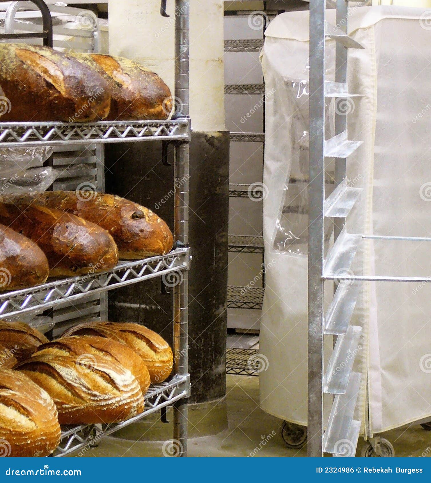 Fresh Bread in Bakery stock photo. Image of baked, seed 2324986