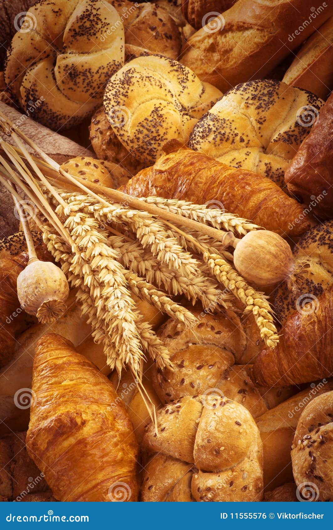 Fresh bread and pastry stock photo. Image of roll, detail 11555576