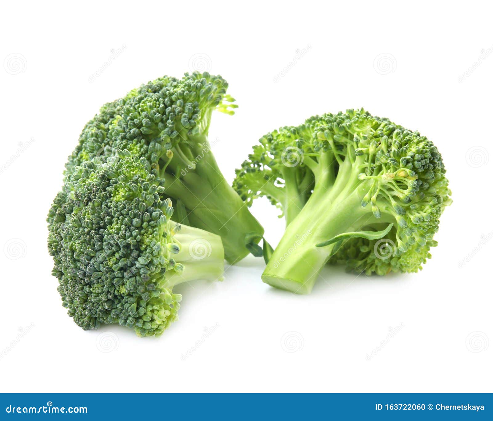 Fresh Broccoli Isolated. Edible Green Plant Stock Photo Image of