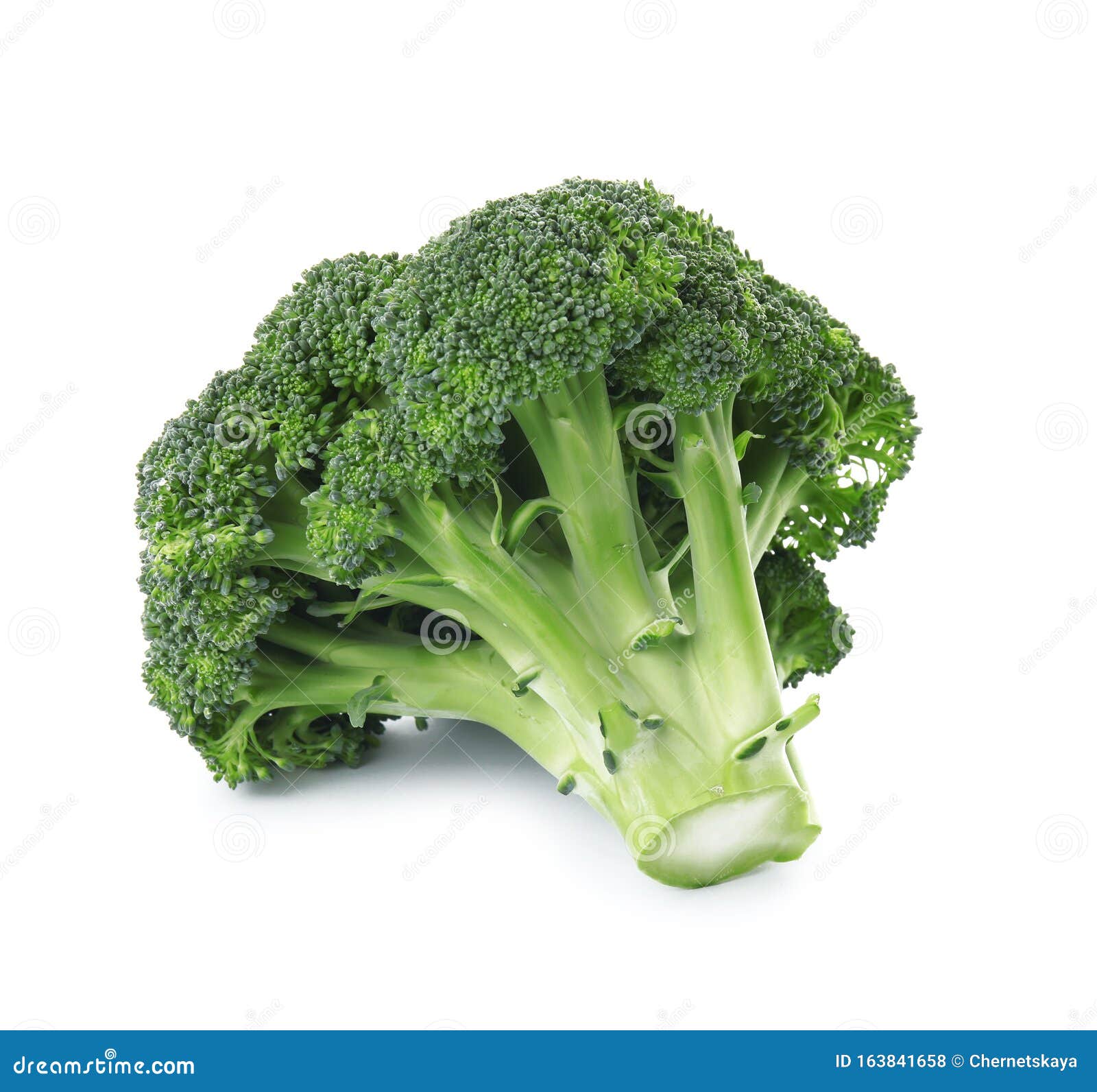 Fresh Broccoli Isolated. Edible Green Plant Stock Photo Image of