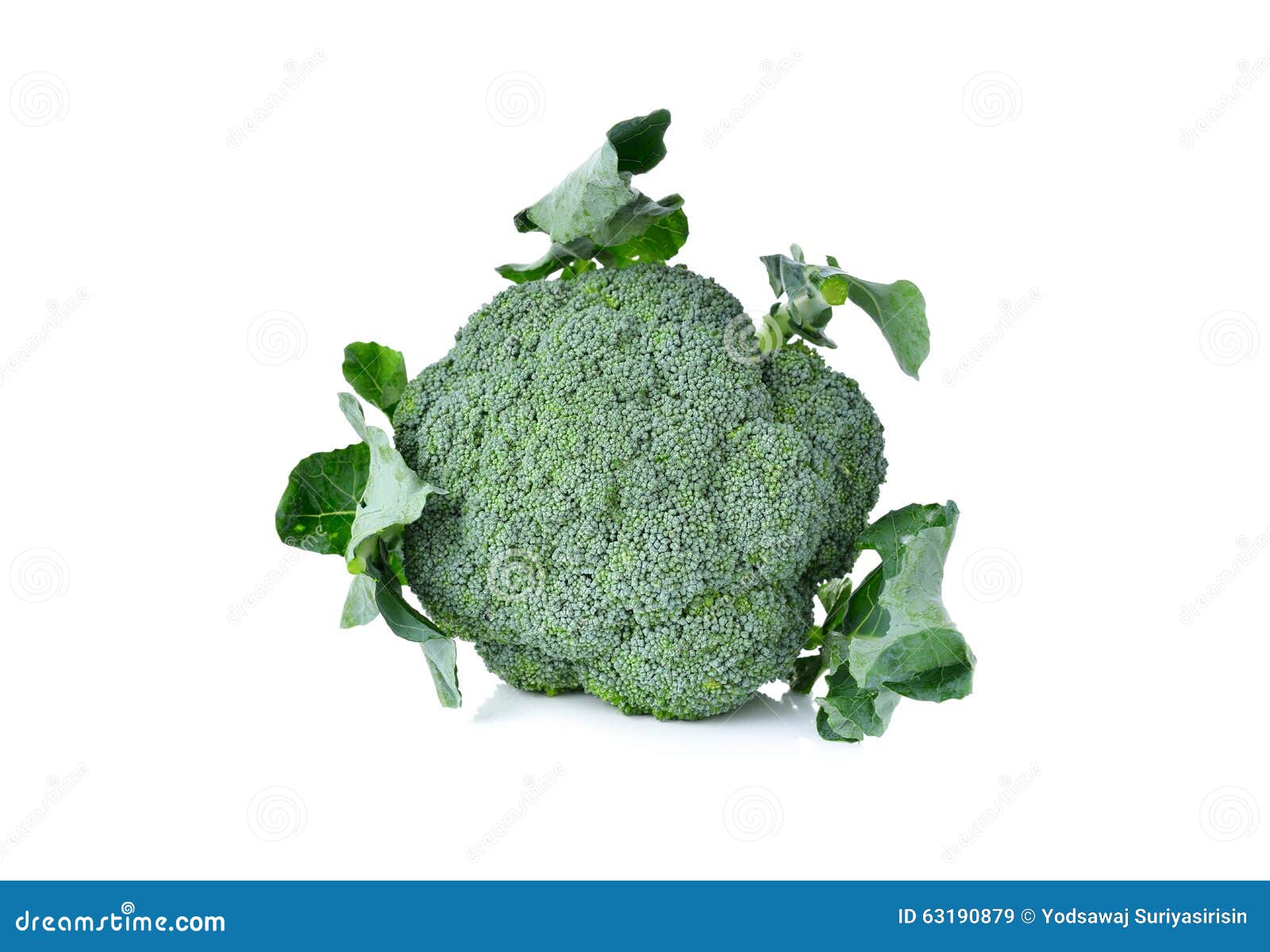 Fresh Broccoli with Leaf on White Stock Image Image of health, view
