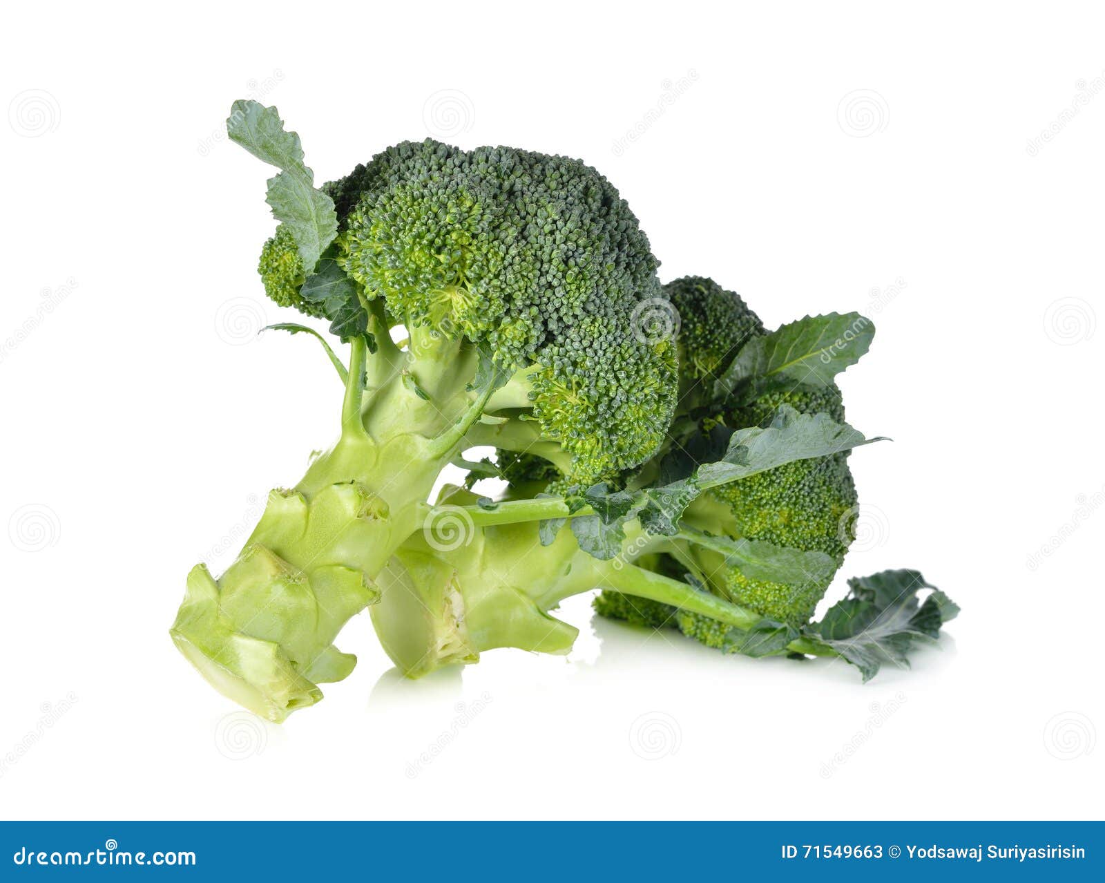 Fresh Broccoli with Leaf on White Stock Image Image of recipe, snack