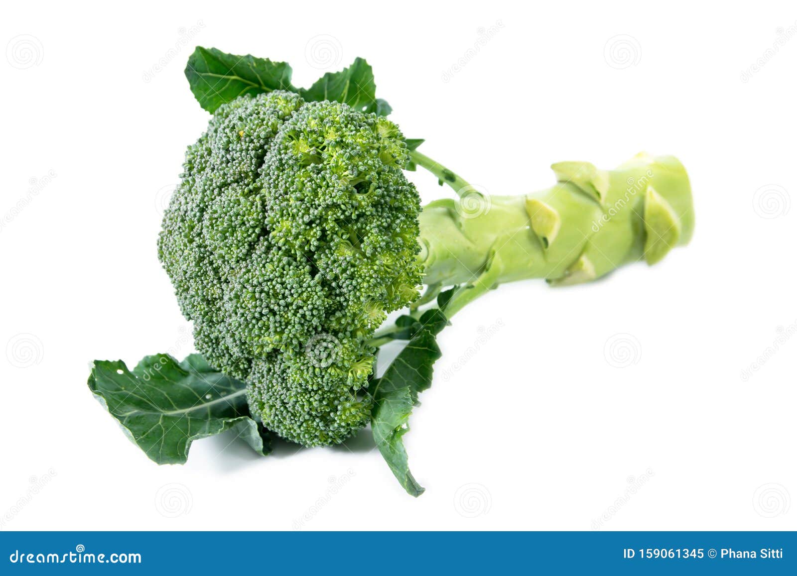 Broccoli Long Stem White Background Stock Photos Free & RoyaltyFree
