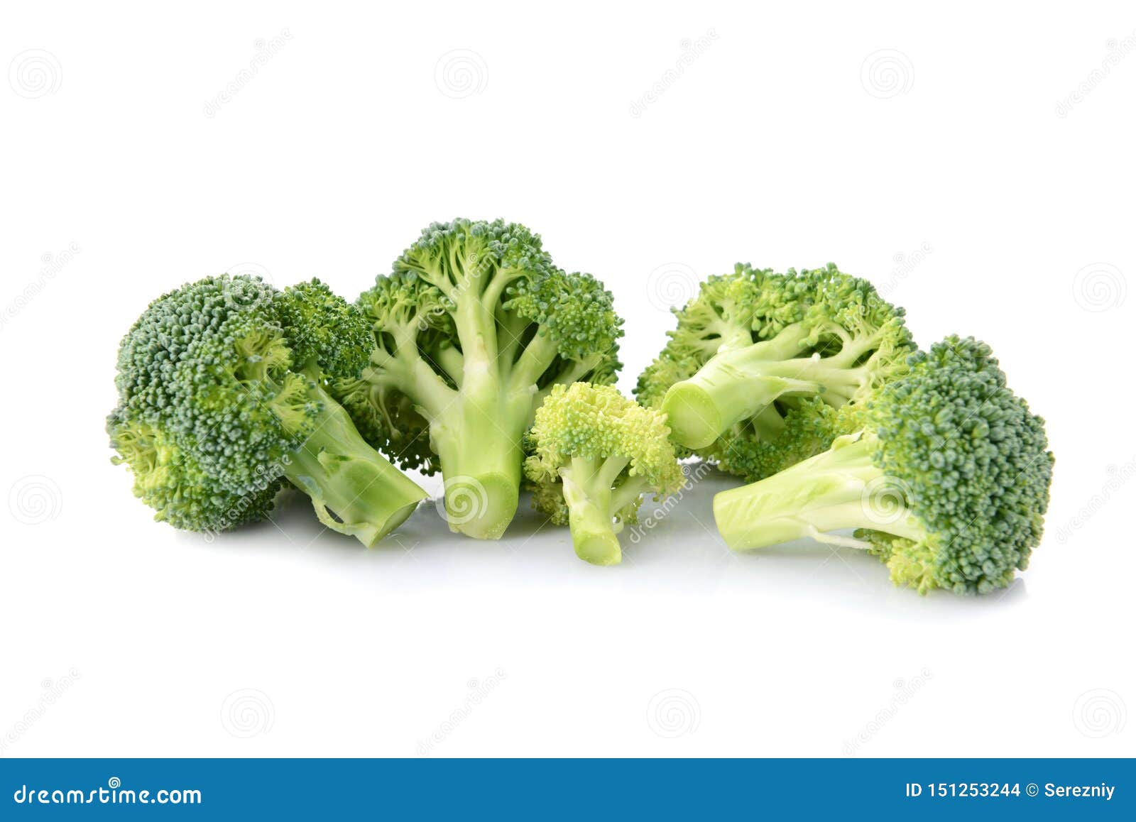 Fresh Broccoli on White Background Stock Photo Image of ingredient