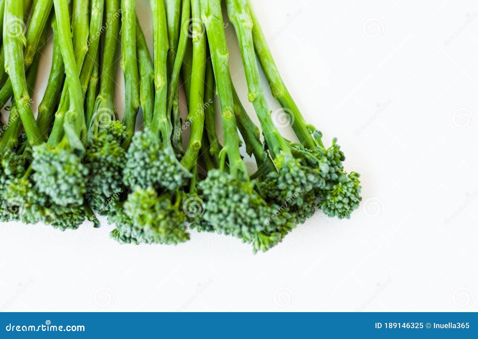 Fresh Broccolini Isolated on White Background with Copy Space Stock