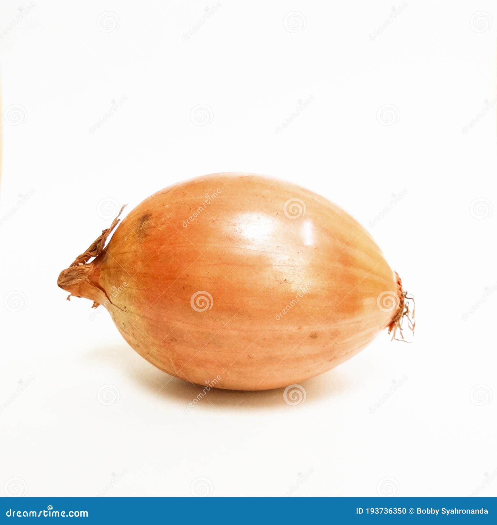 fresh brown onion or bawang bombay  on white background