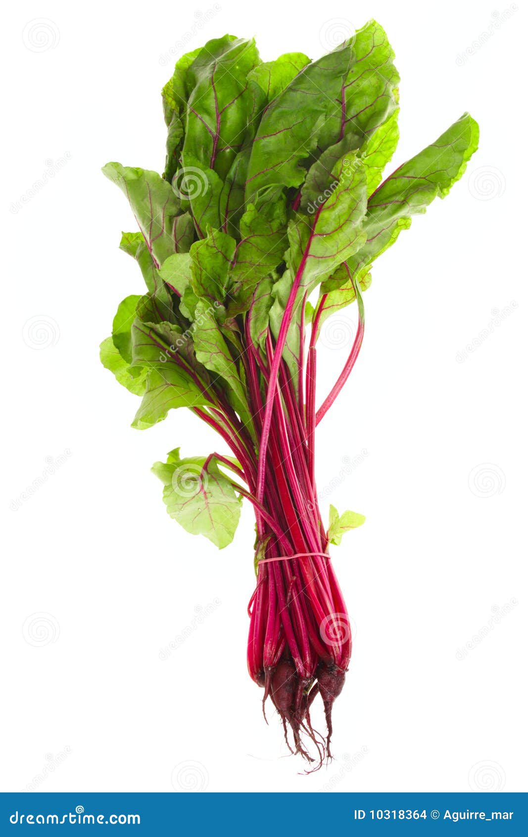 Fresh Bunch of Beetroot stock photo. Image of healthy 10318364