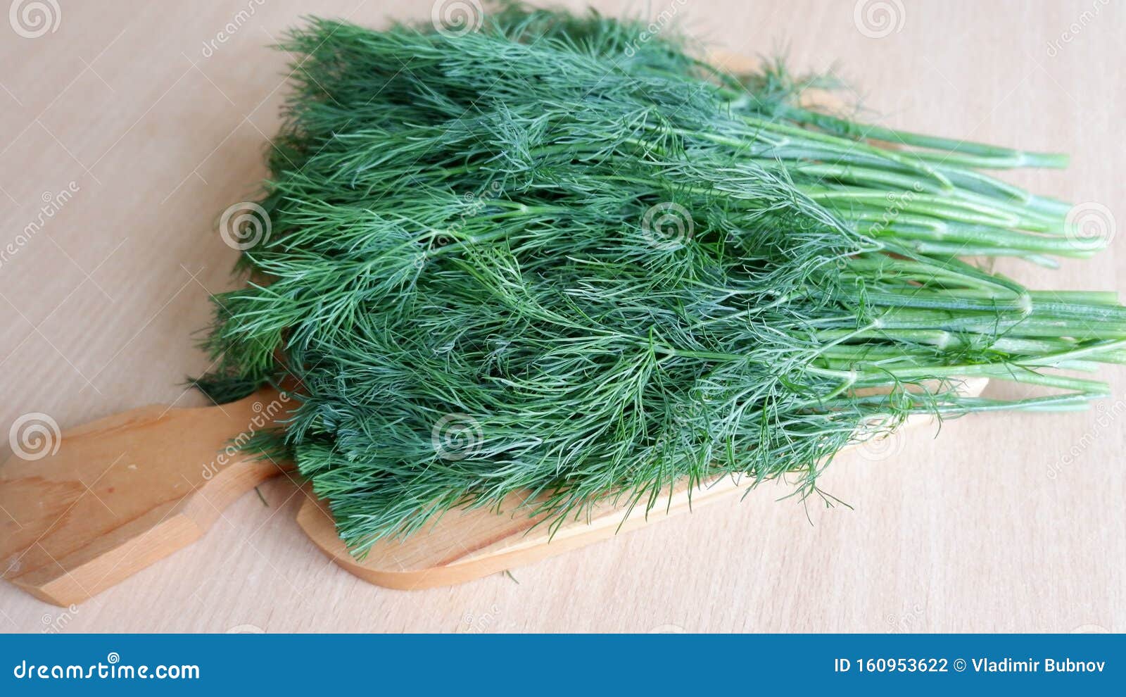 Fresh bunch of dill stock photo. Image of city, beautiful 160953622