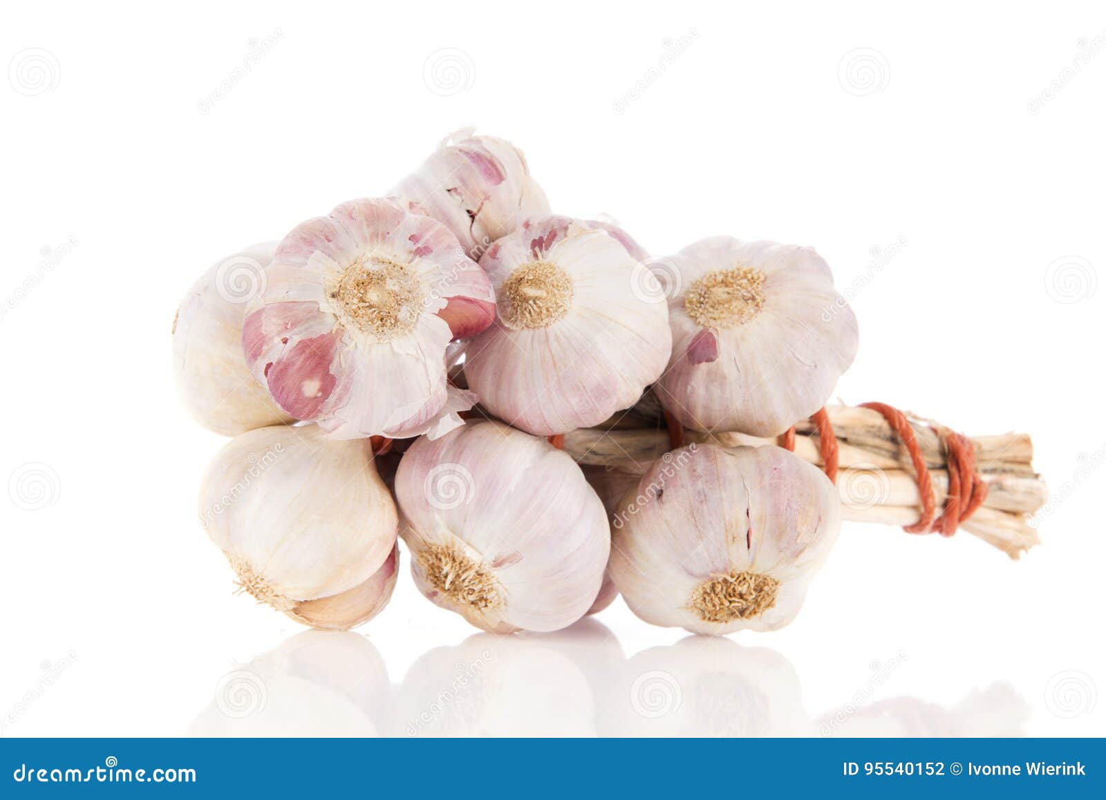 Fresh bunch garlic stock photo. Image of fresh, background - 95540152