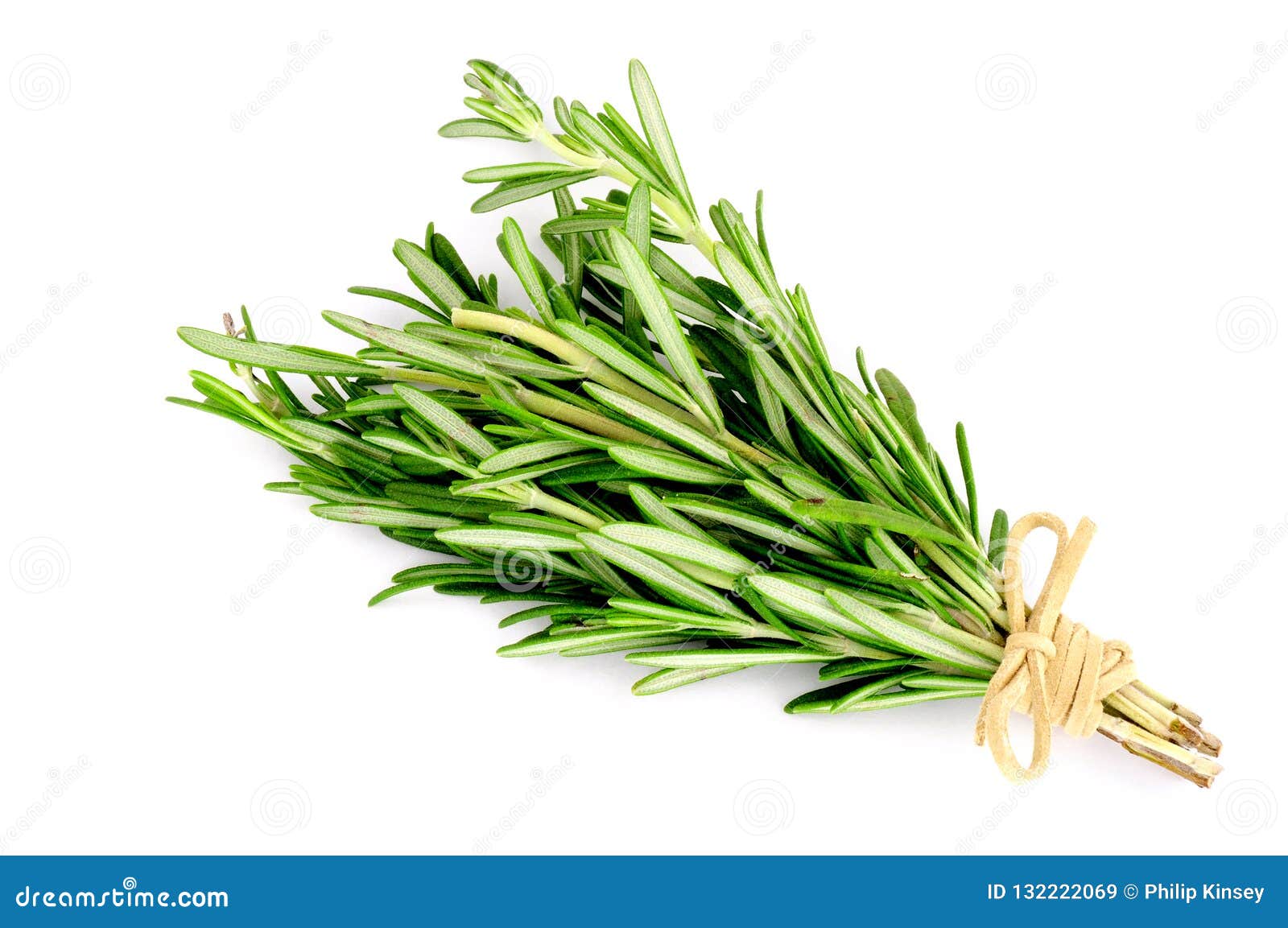Fresh Bunch of Rosemary Herb Stock Image Image of plant, herbs 132222069