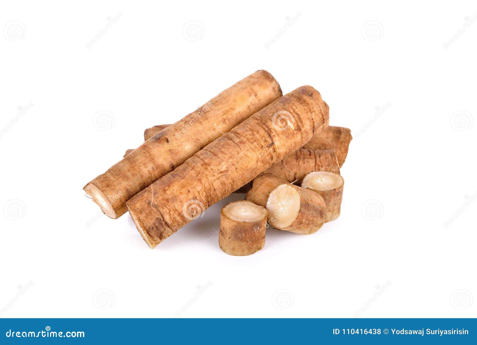 Fresh Burdock Root or Gobo on White Background Stock Photo Image of