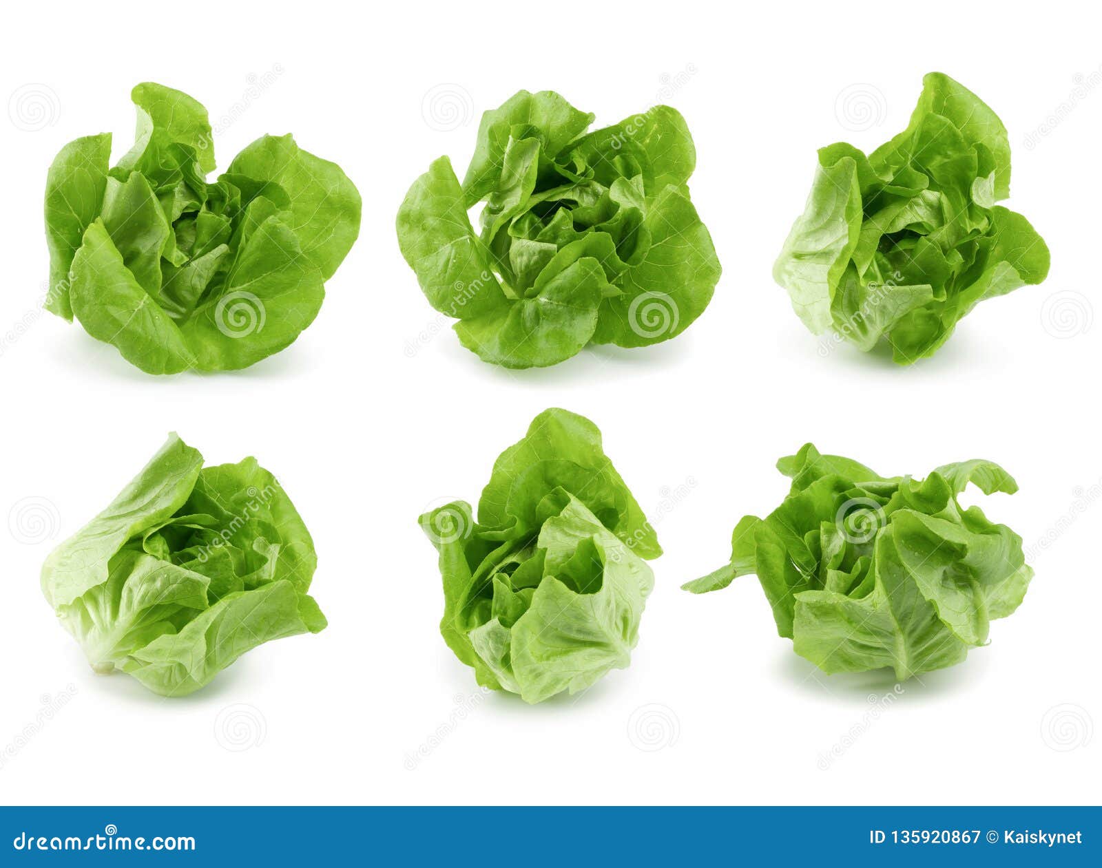 Fresh Butterhead Salad Isolated Over White Background Stock Image