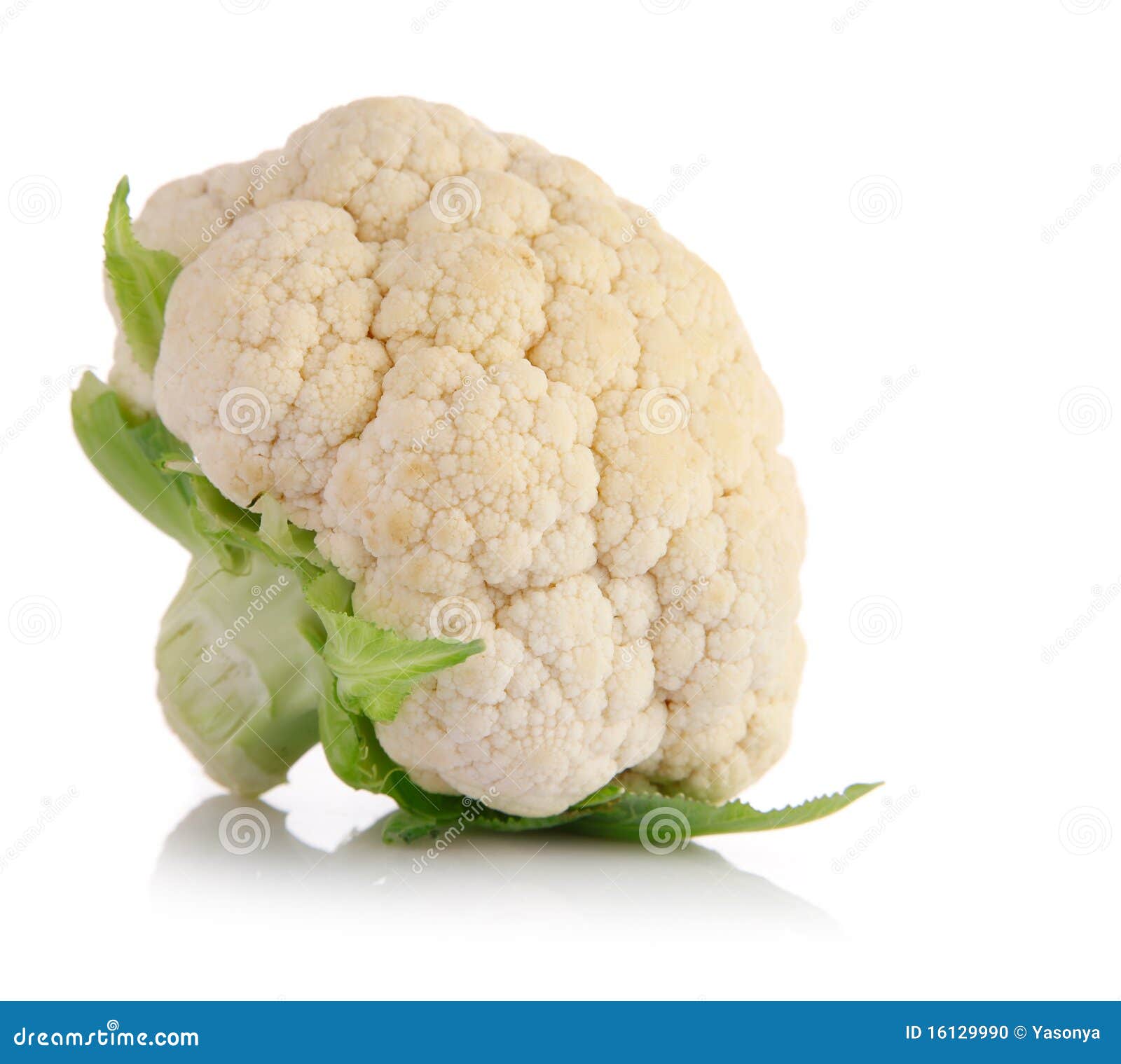 Fresh Cabbage Fruits with Green Leaf Stock Photo Image of background