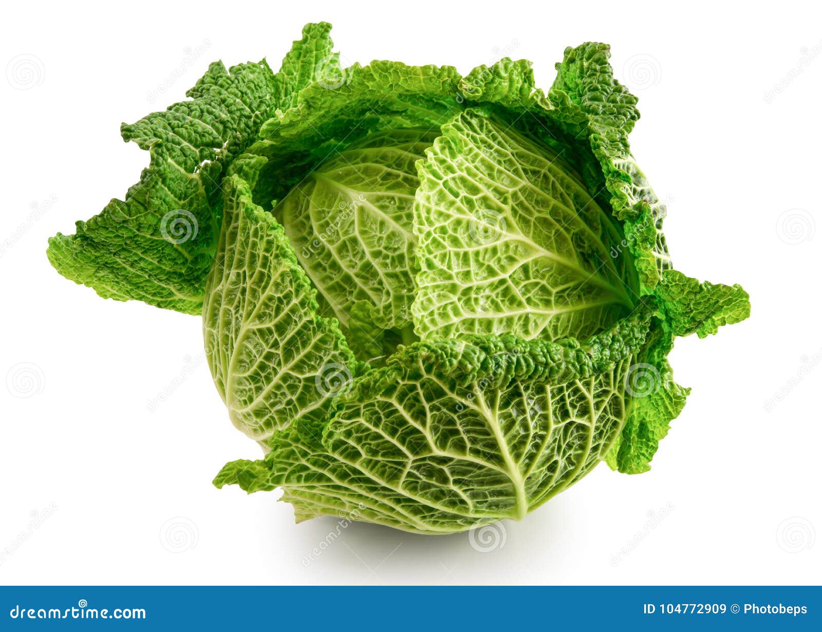 Fresh Cabbage on White Background Stock Image Image of food