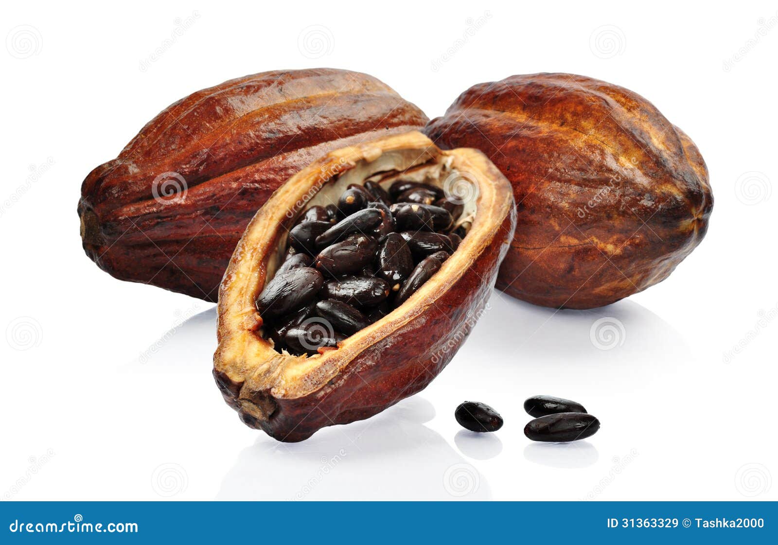 Fresh cacao fruit stock image. Image of nutrition, fruit 31363329