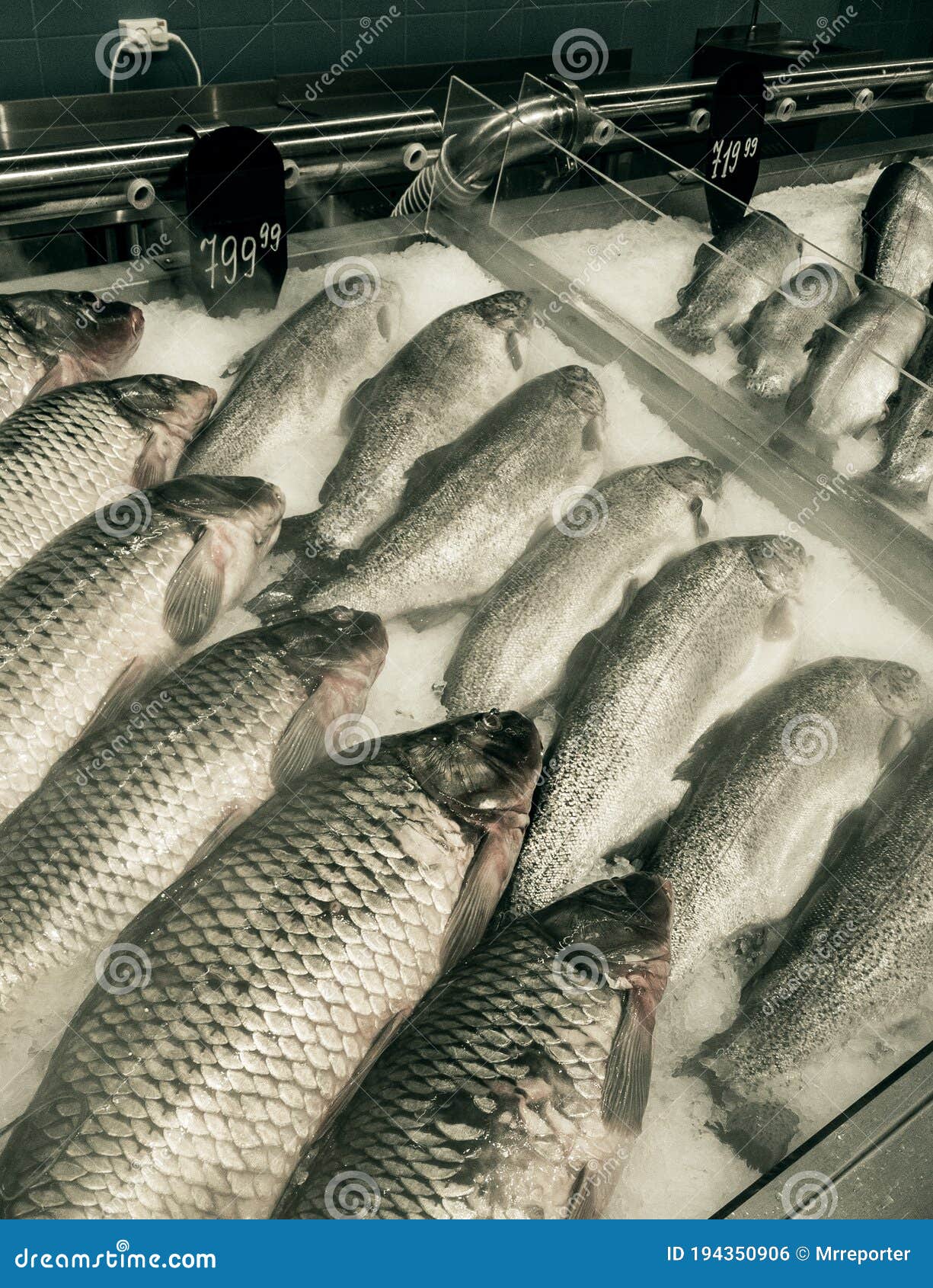 Fishmarket stock photo. Image of selling, fishmarket 194350906