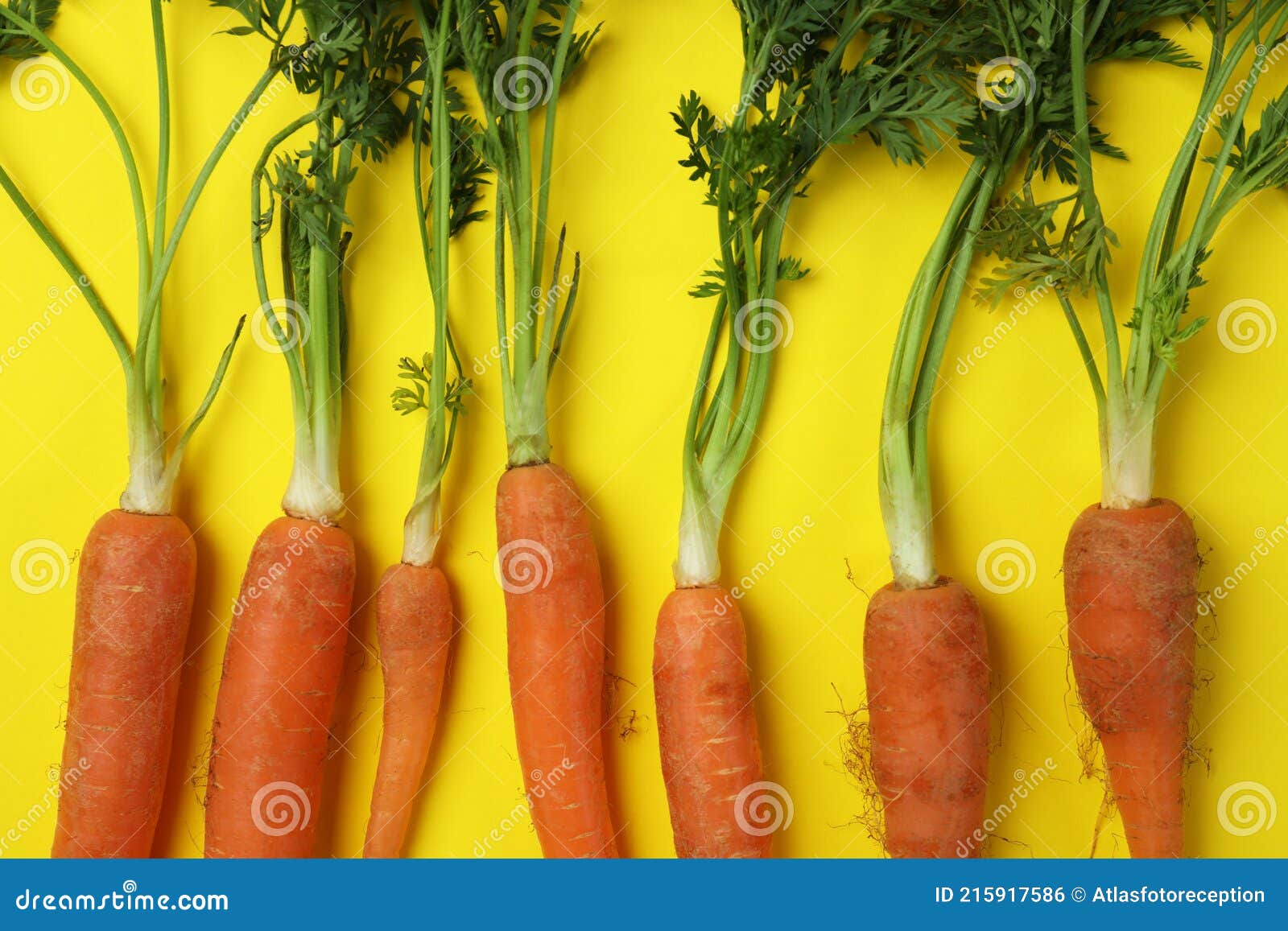 Fresh Carrot with Leaves on Yellow Background Stock Photo Image of