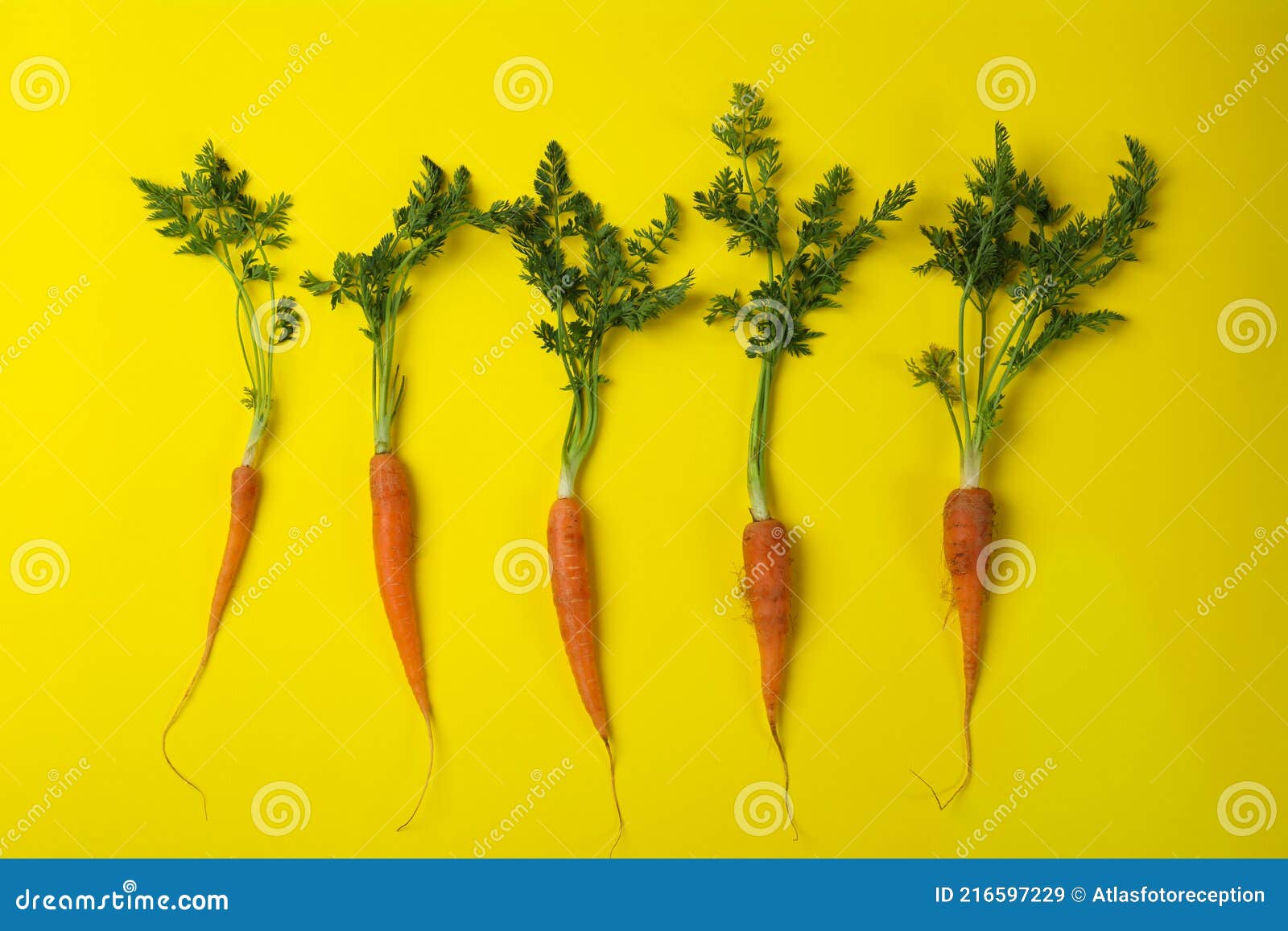 Fresh Carrot with Leaves on Yellow Background Stock Image Image of