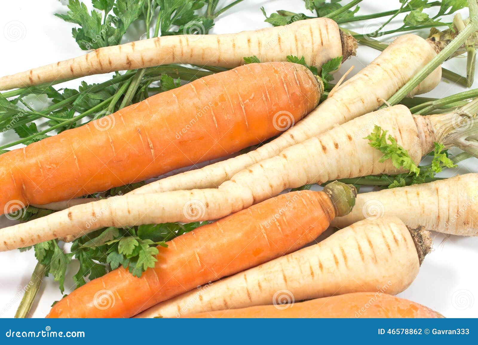 Fresh Carrot and Parsley with Root Stock Photo Image of object, food