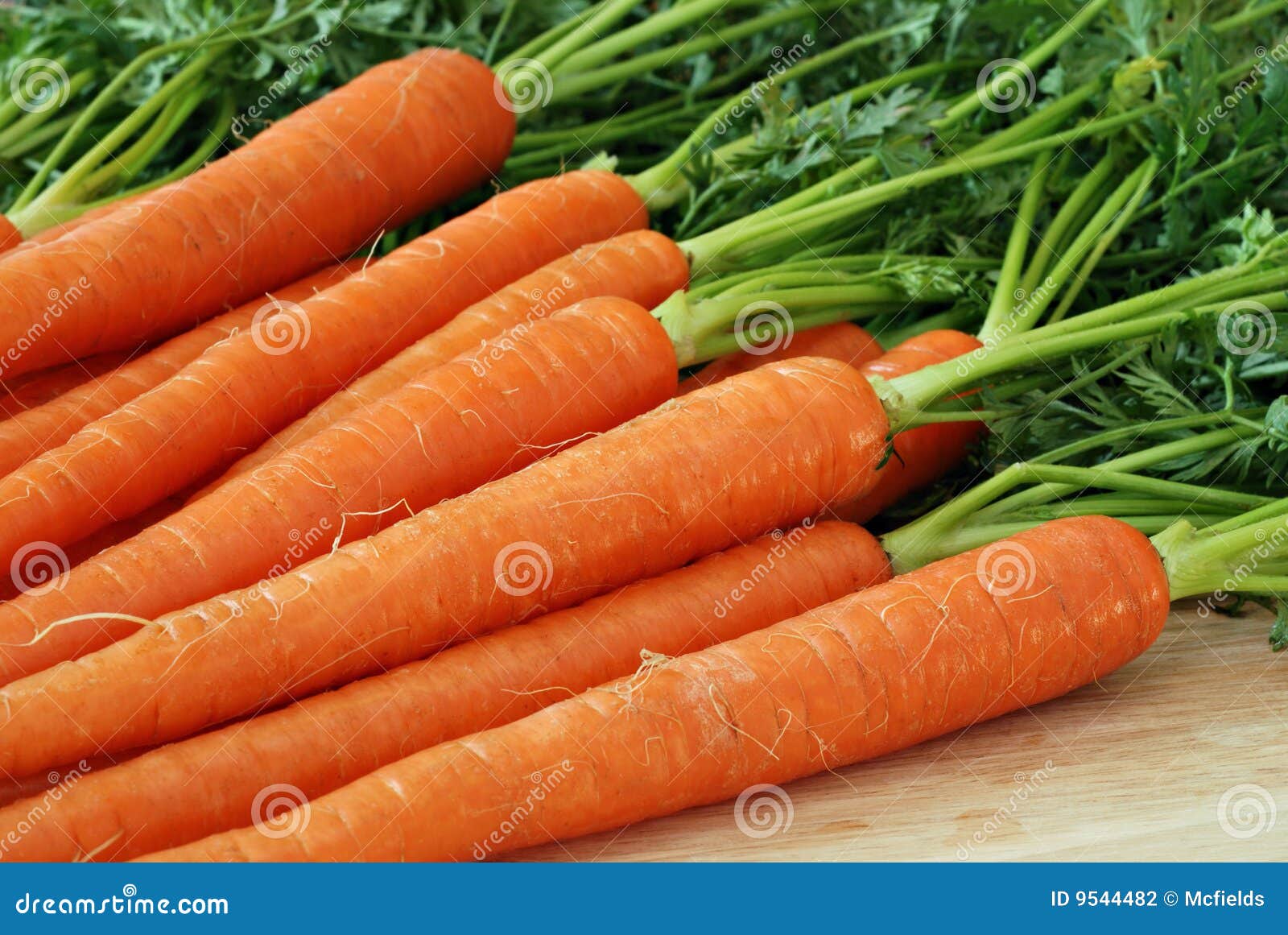 Fresh Carrots stock photo. Image of nutritious, salad 9544482