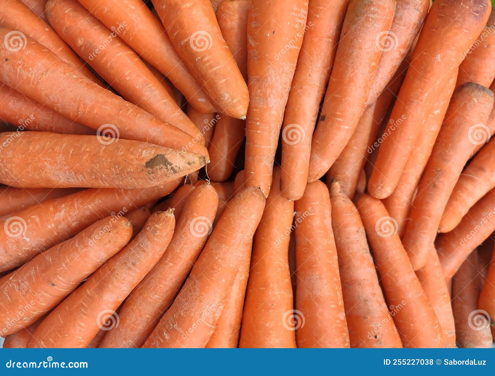 fresh carrots croped texture background wallpapes