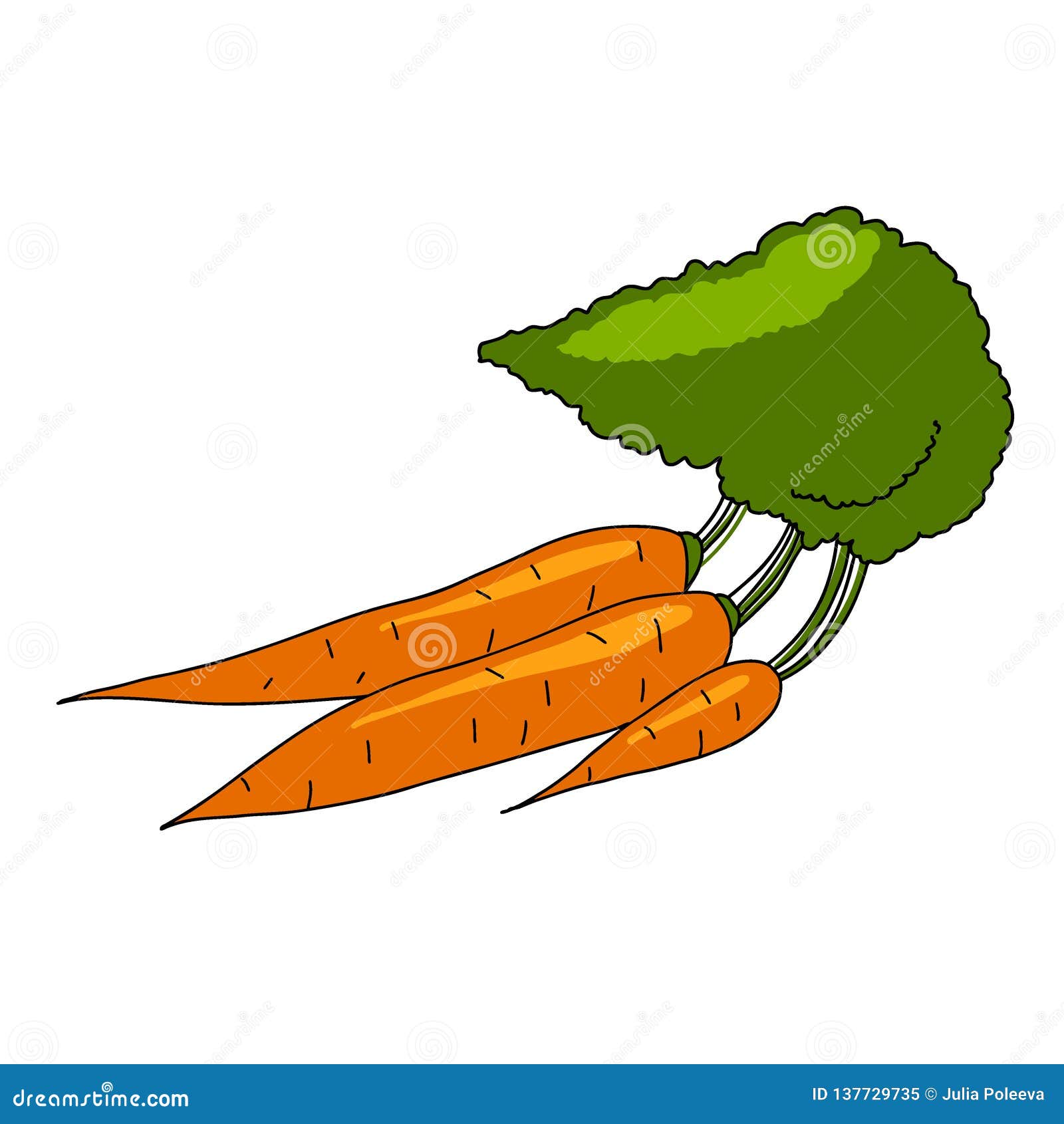 Fresh Carrots Heap With Green Stems Isolated Illustration For Cooking