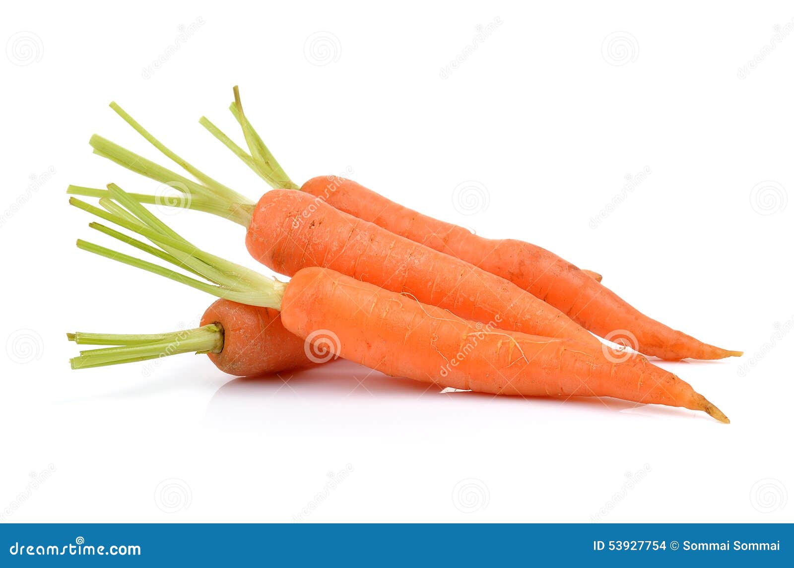 Fresh Carrots Isolated on White Background Stock Photo Image of