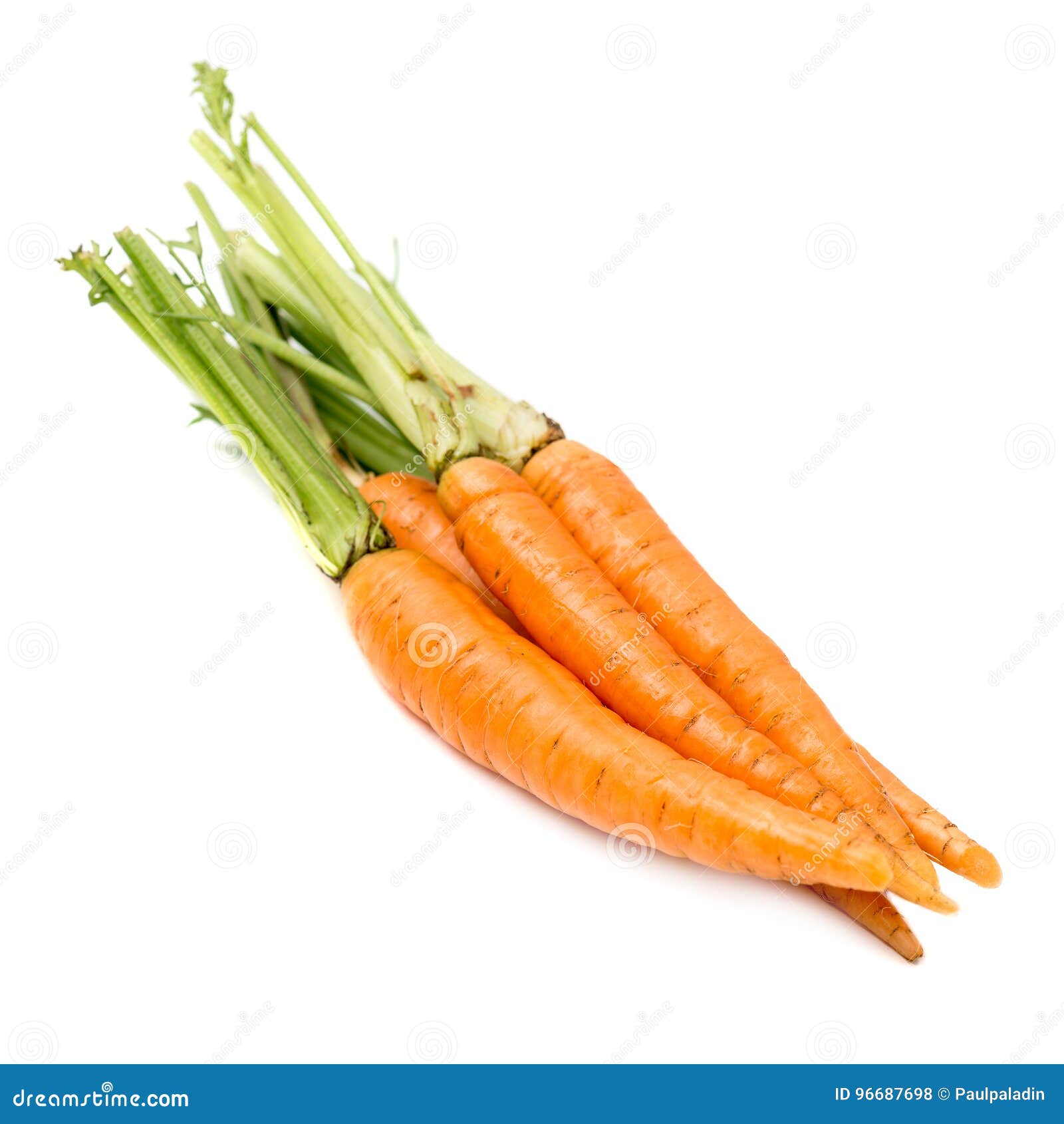 Fresh Carrots with Stems Isolated Stock Photo Image of stem, close