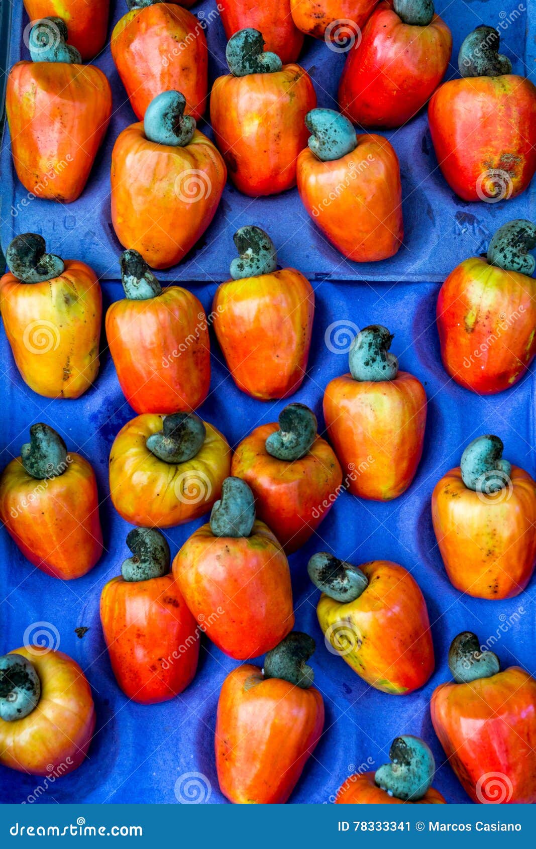 Fresh Cashew Fruit at the Market Stock Image Image of market, nature
