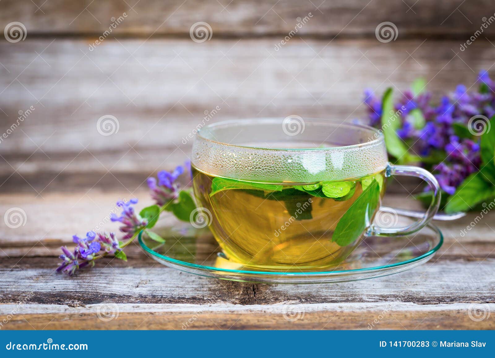 Fresh Catnip Tea In A Glass Cup Stock Image Image of breakfast, leaf