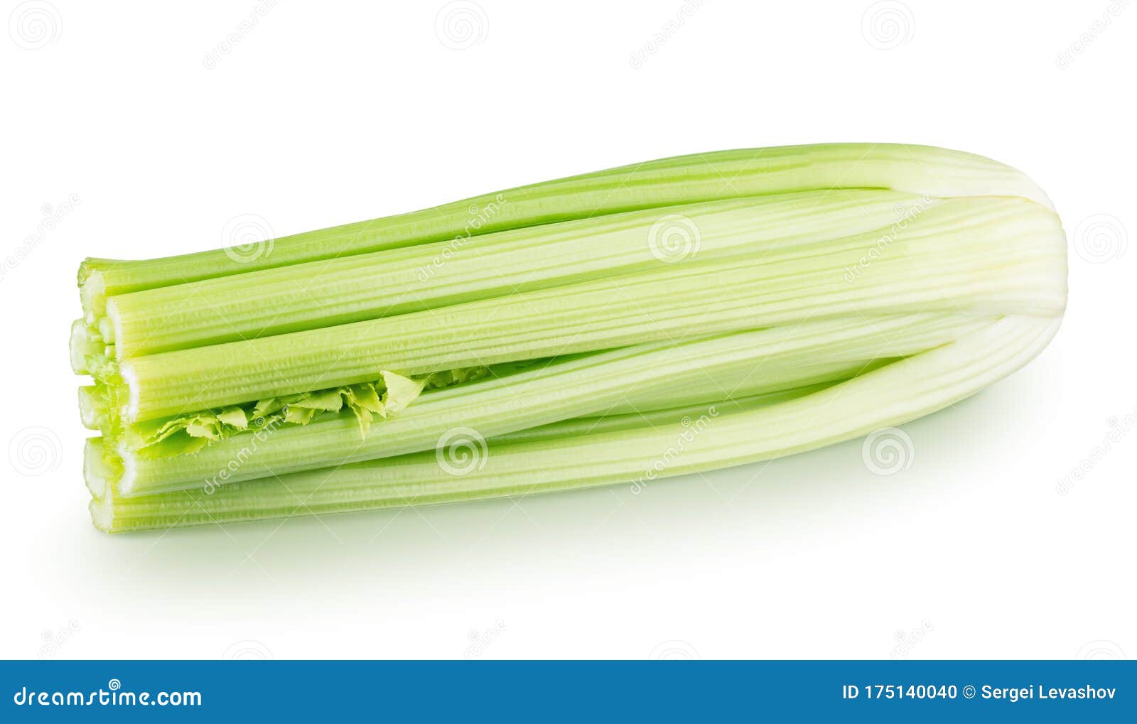 Fresh Celery Stalk Isolated on a White Background. Stock Photo Image