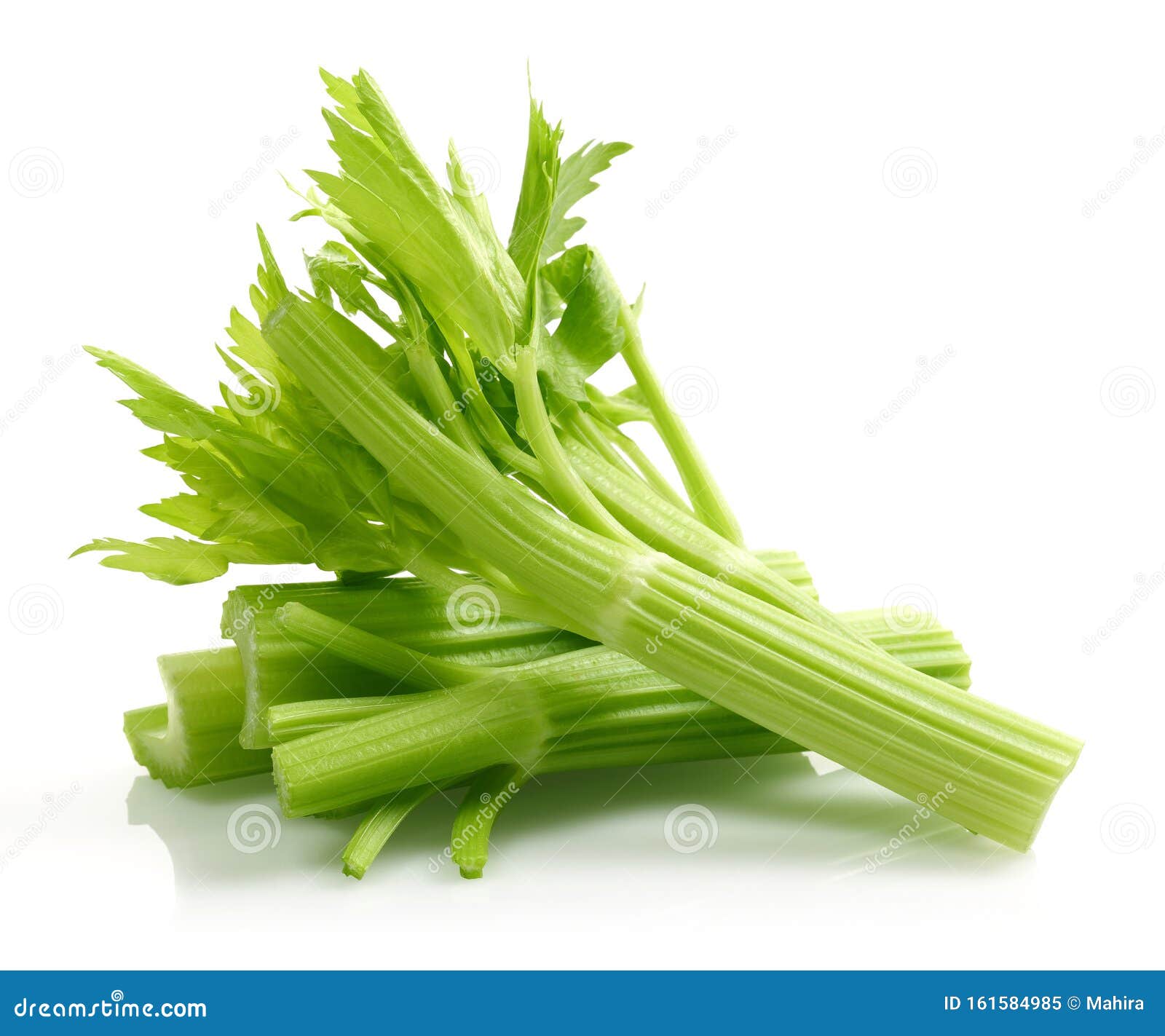 Fresh Celery Stalks and Leaves Isolated on White Stock Image Image of