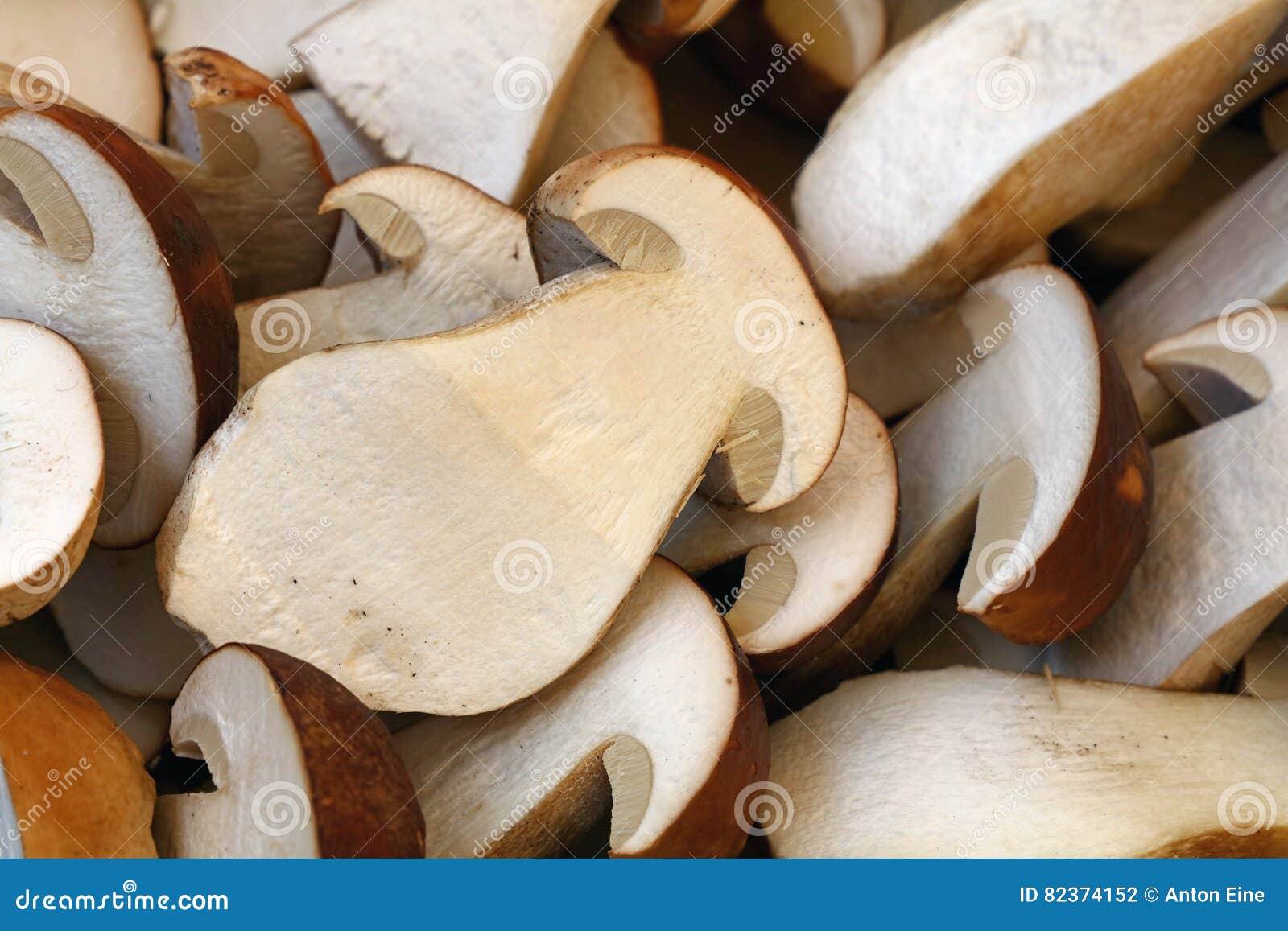 fresh ceps porcini mushrooms halves close up