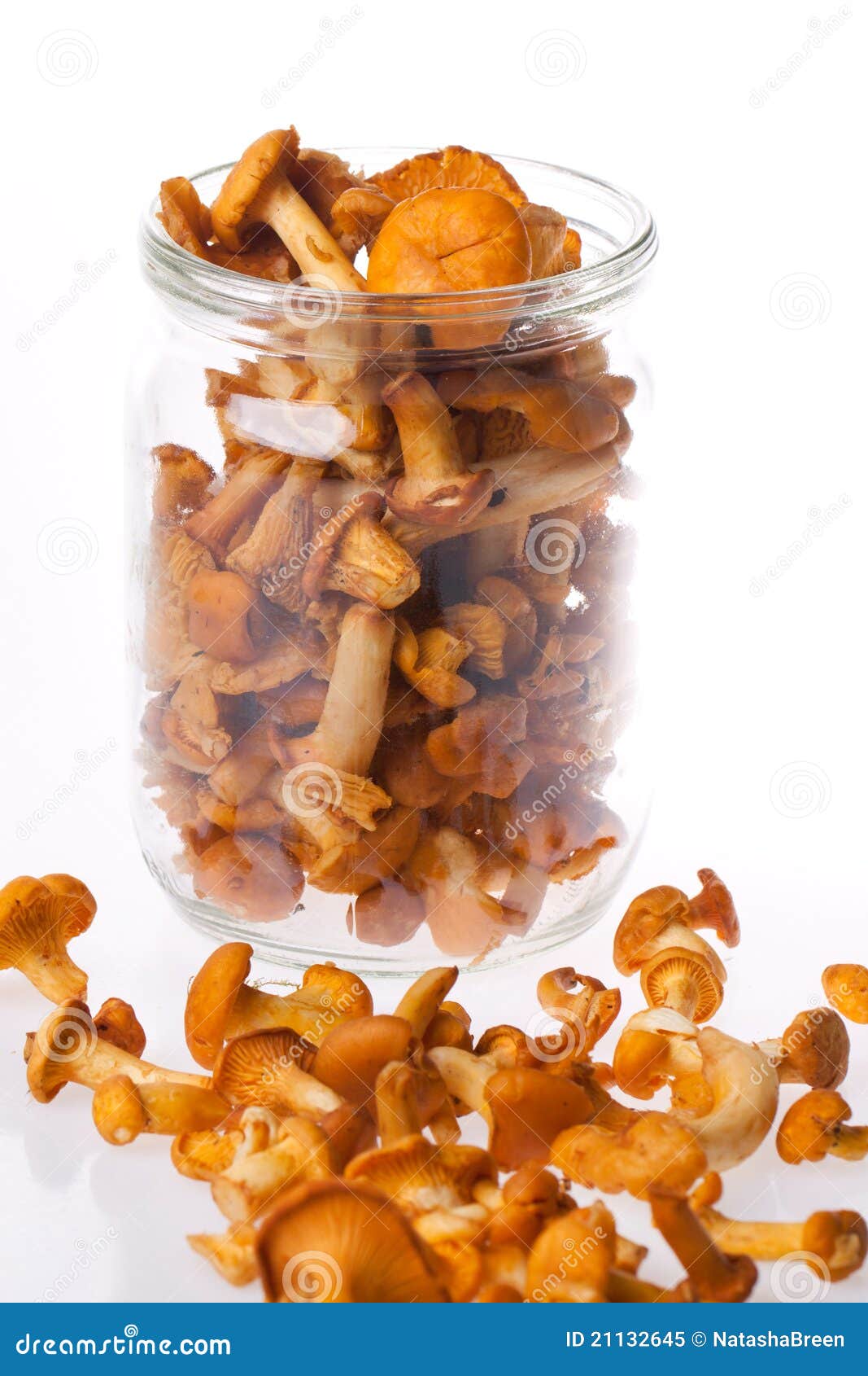 Fresh Chanterelle Mushrooms Stock Image Image of gourmet, season