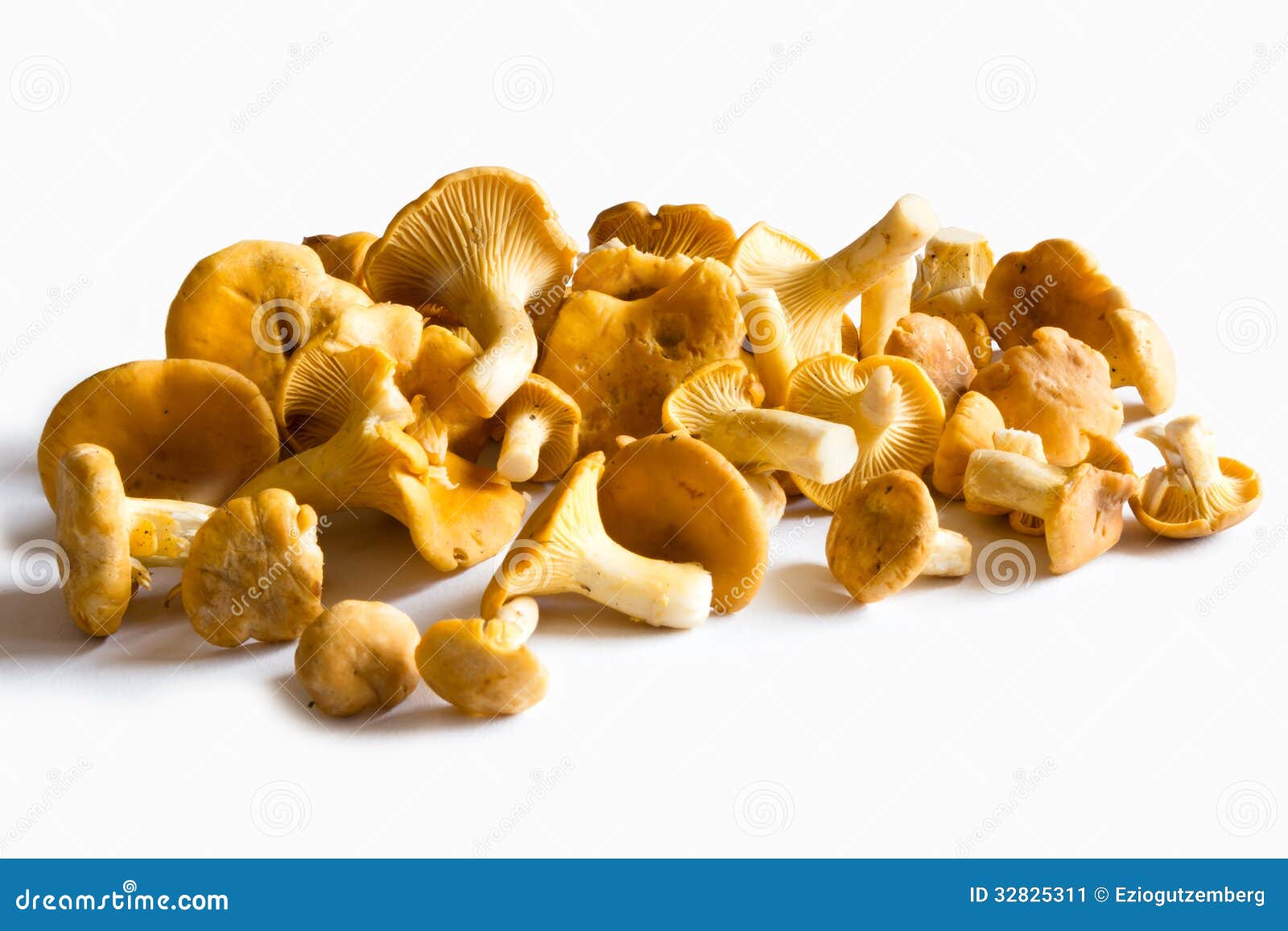 Fresh Chanterelles stock image. Image of detail, isolated 32825311