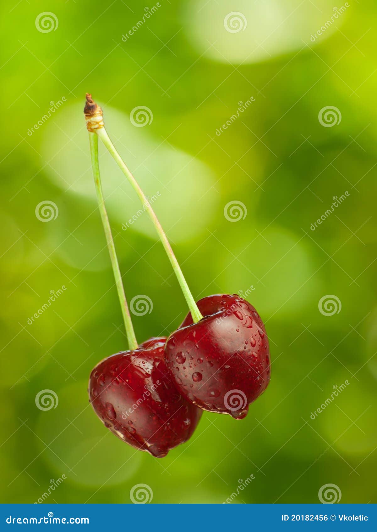 Fresh cherries stock photo. Image of fruit, closeup, falling 20182456