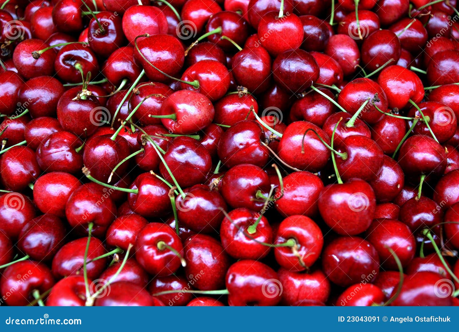 Fresh Cherries stock image. Image of cherry, natural 23043091