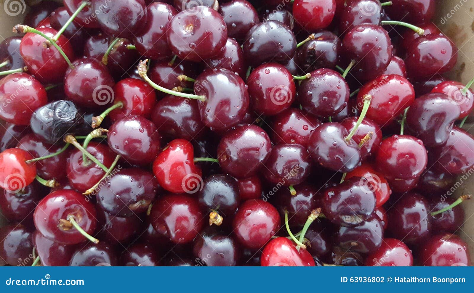 sweet cherries two farm stands sweet cherries two farm stands