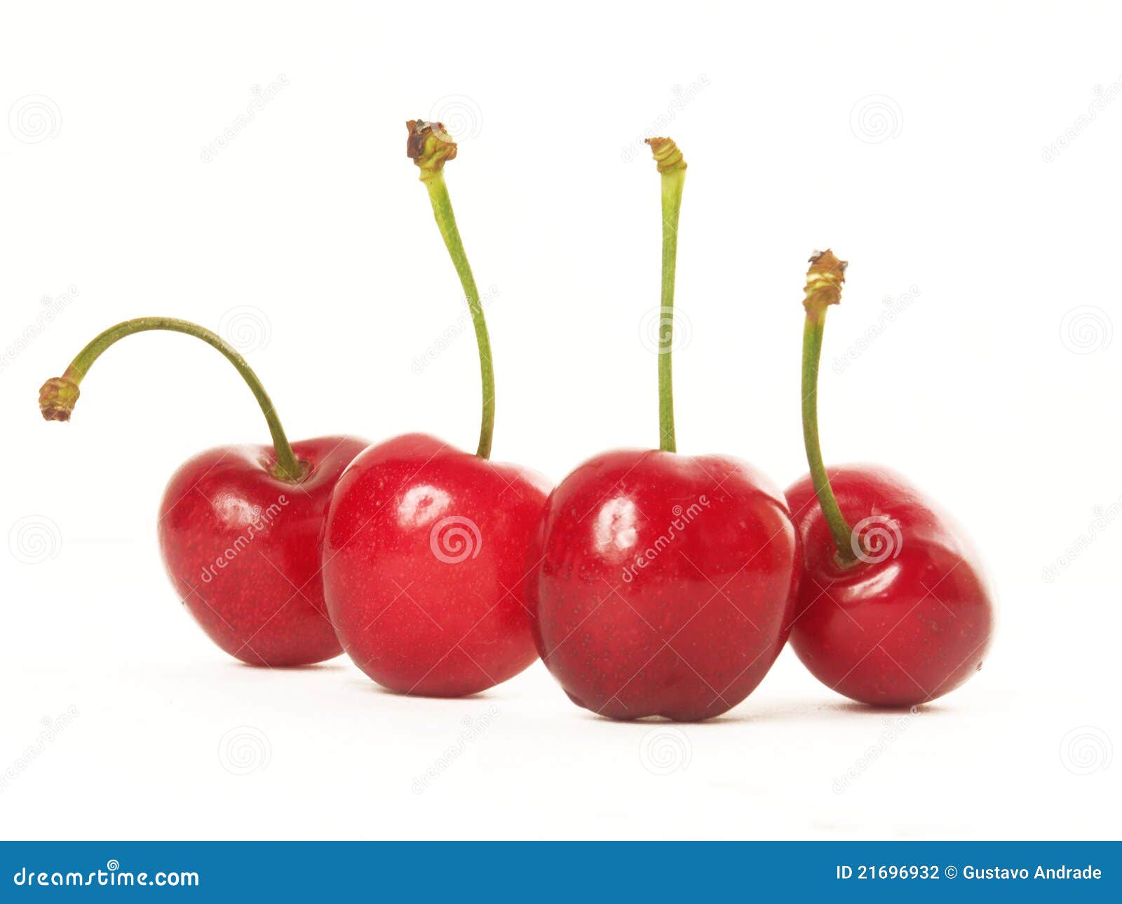 Fresh cherry. stock photo. Image of ripe, indulgence - 21696932