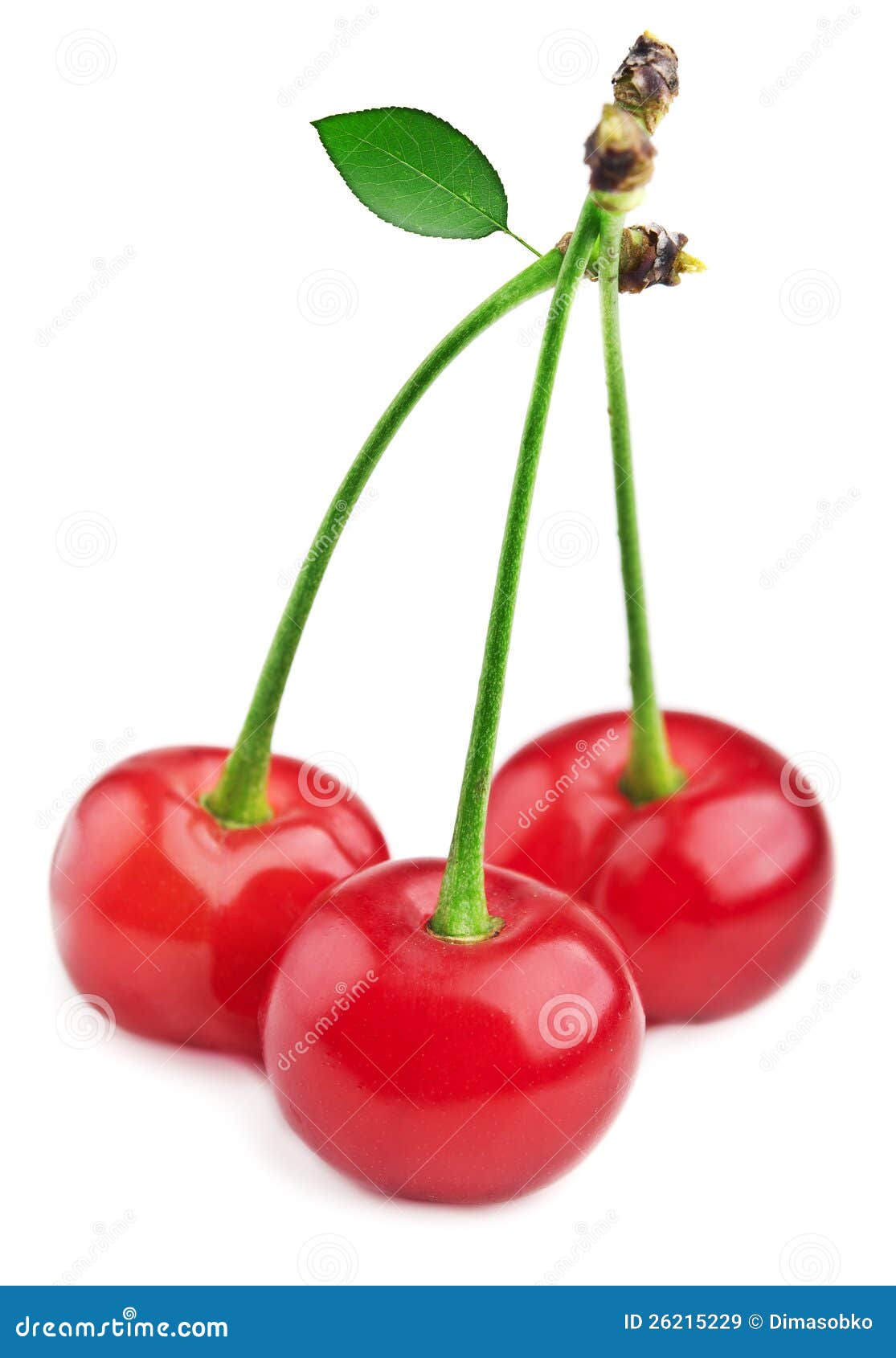 Fresh cherry stock image. Image of objects, healthy, ingredient 26215229