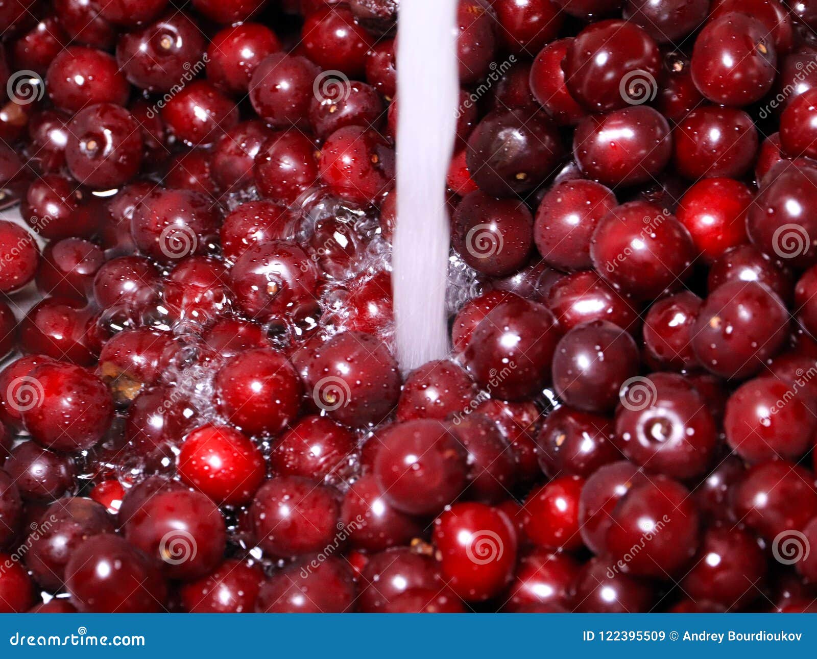 Fresh cherry on the water stock image. Image of color 122395509