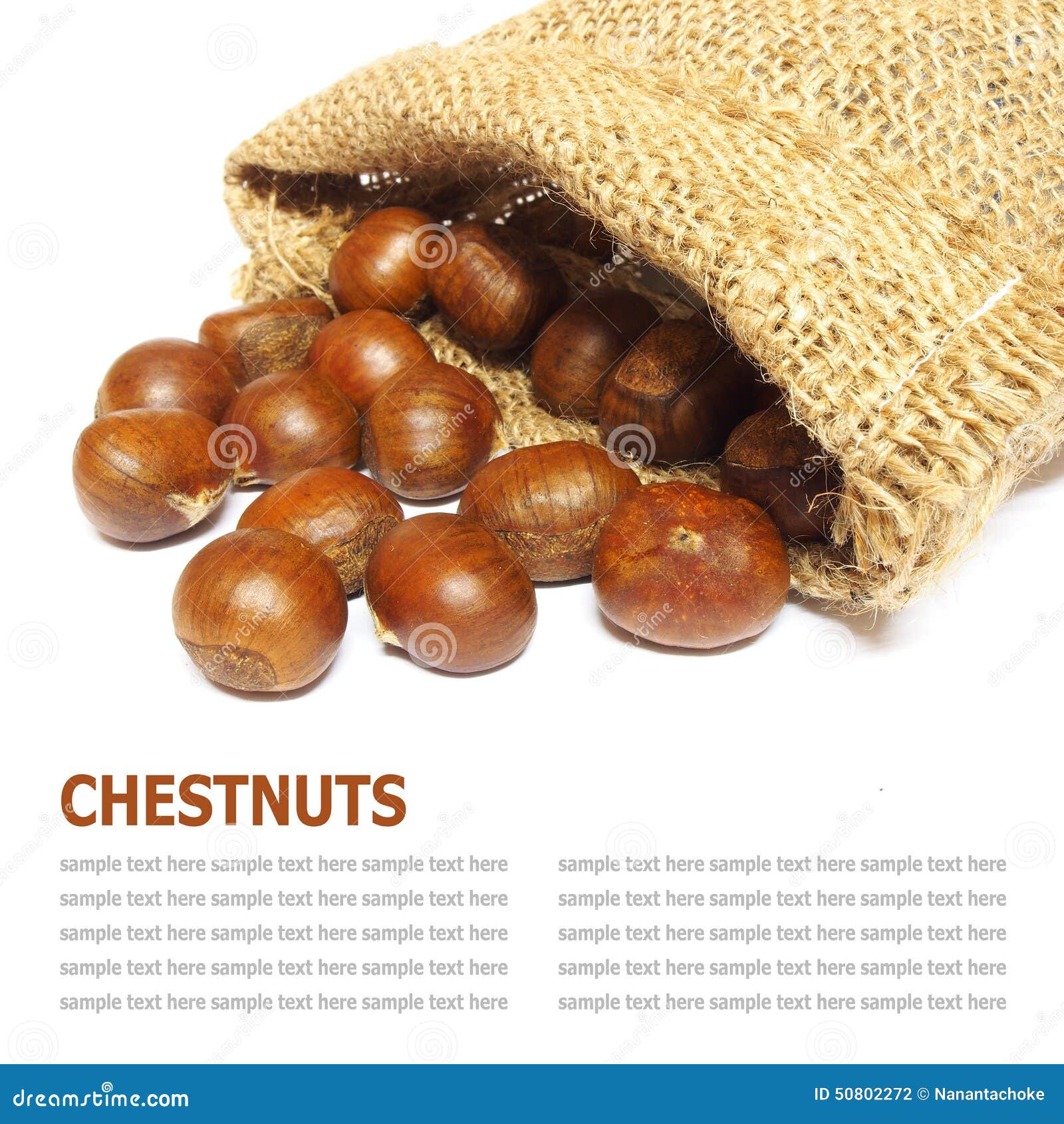 fresh chestnuts in yute  on white background