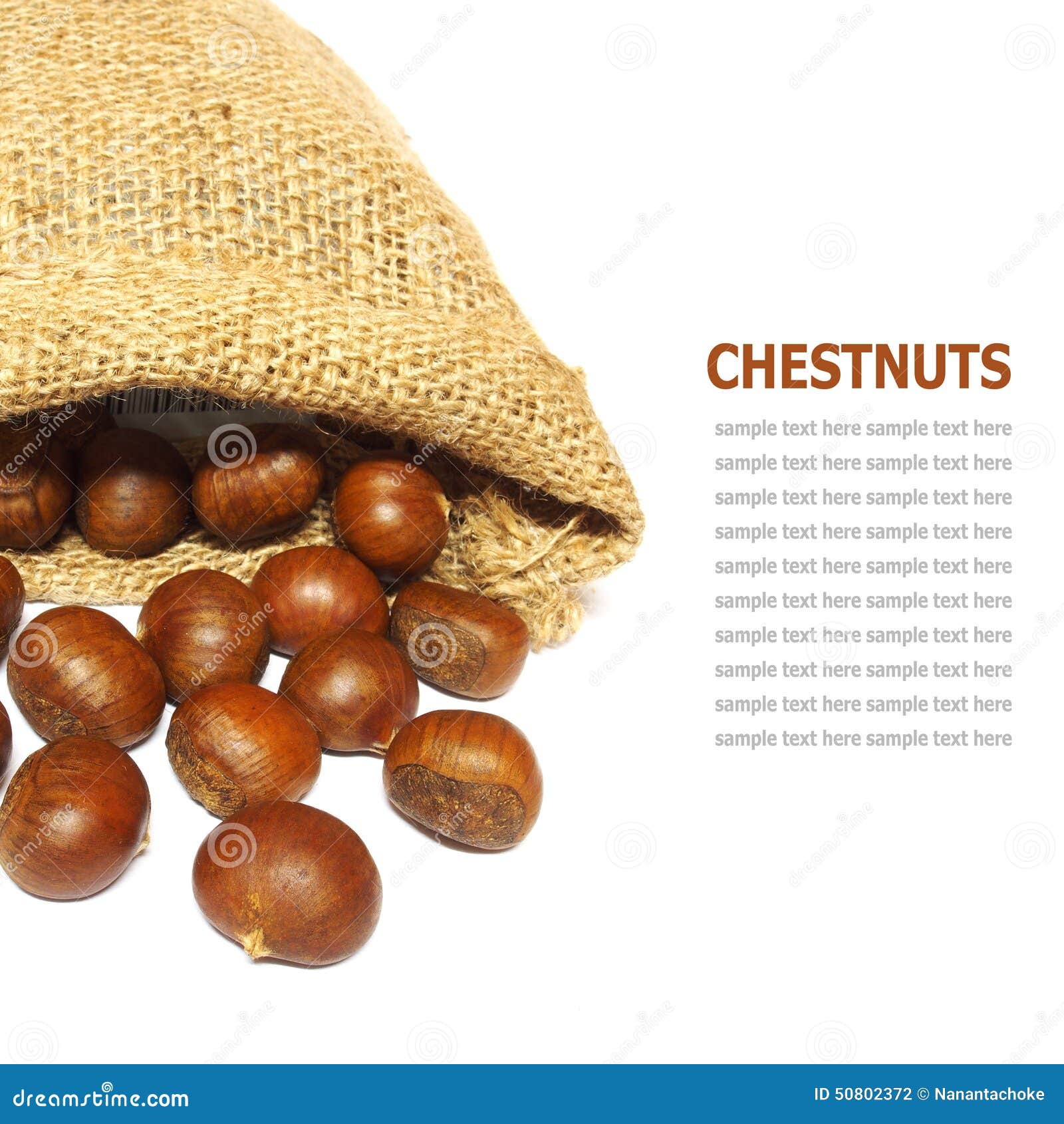 fresh chestnuts in yute  on white background