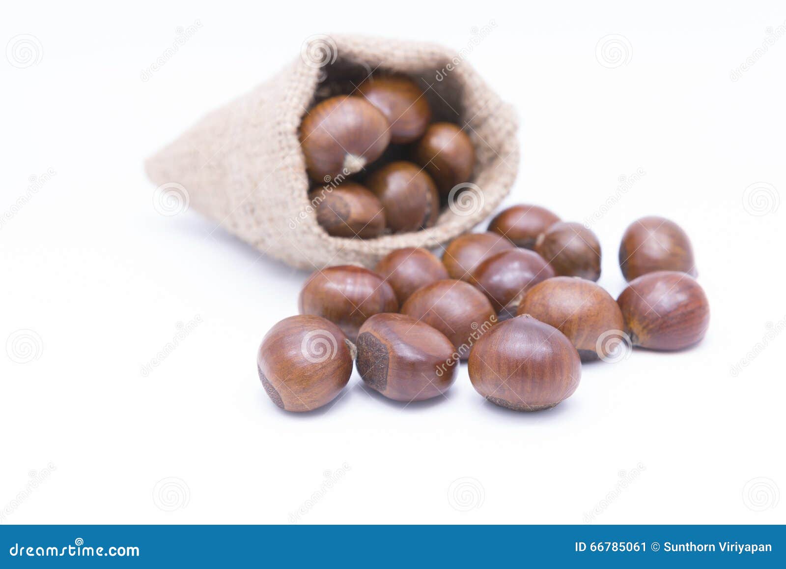 fresh chestnuts in yute  on white