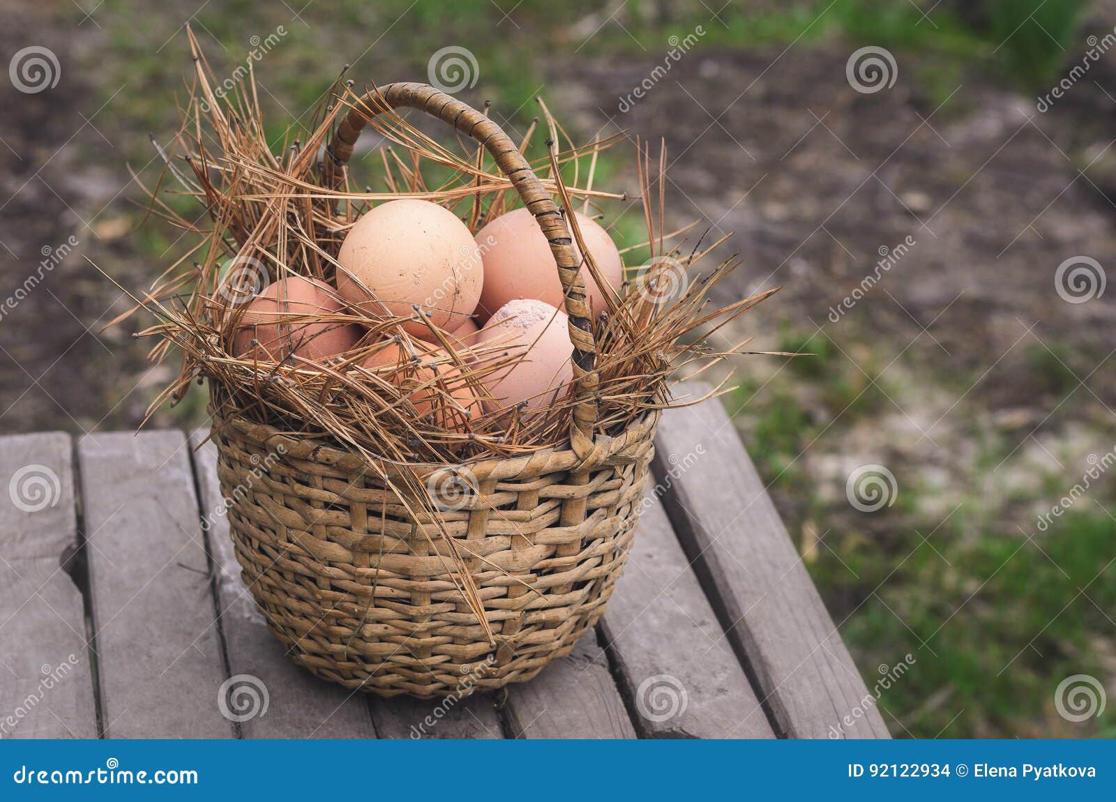 fresh chicken country eggs