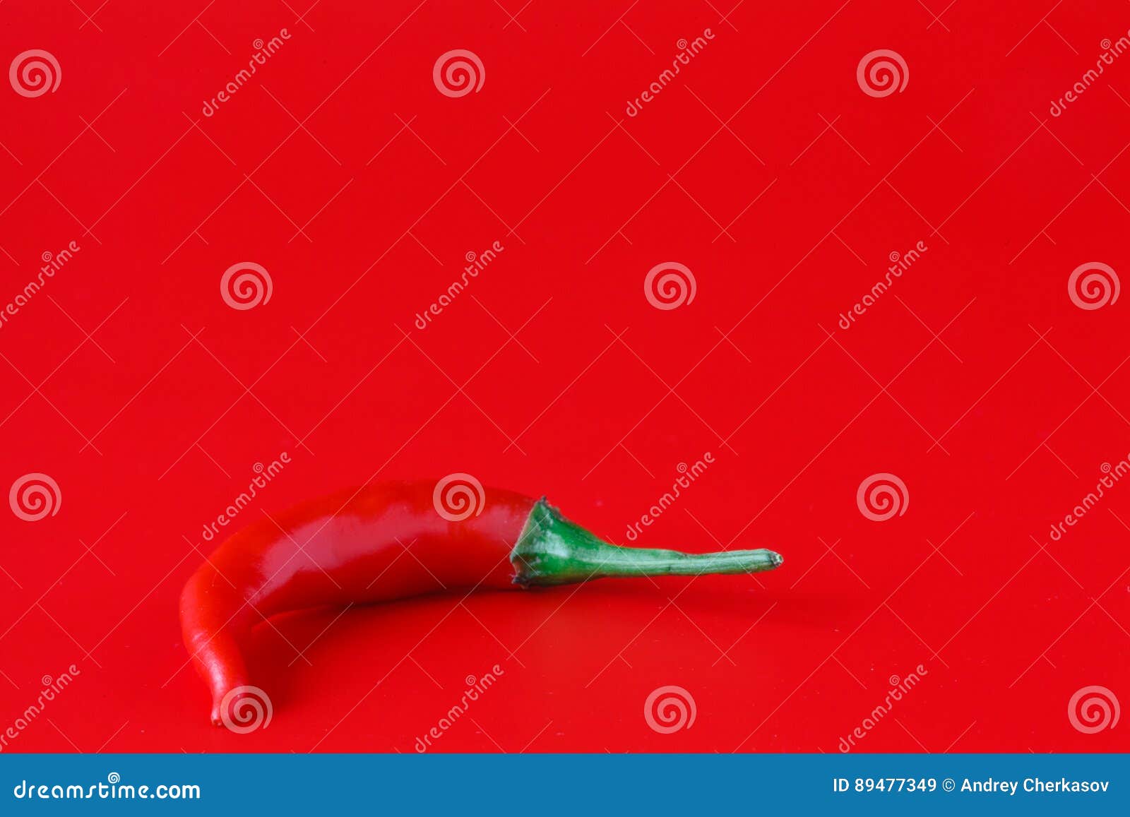 fresh chili pepper on plain red background